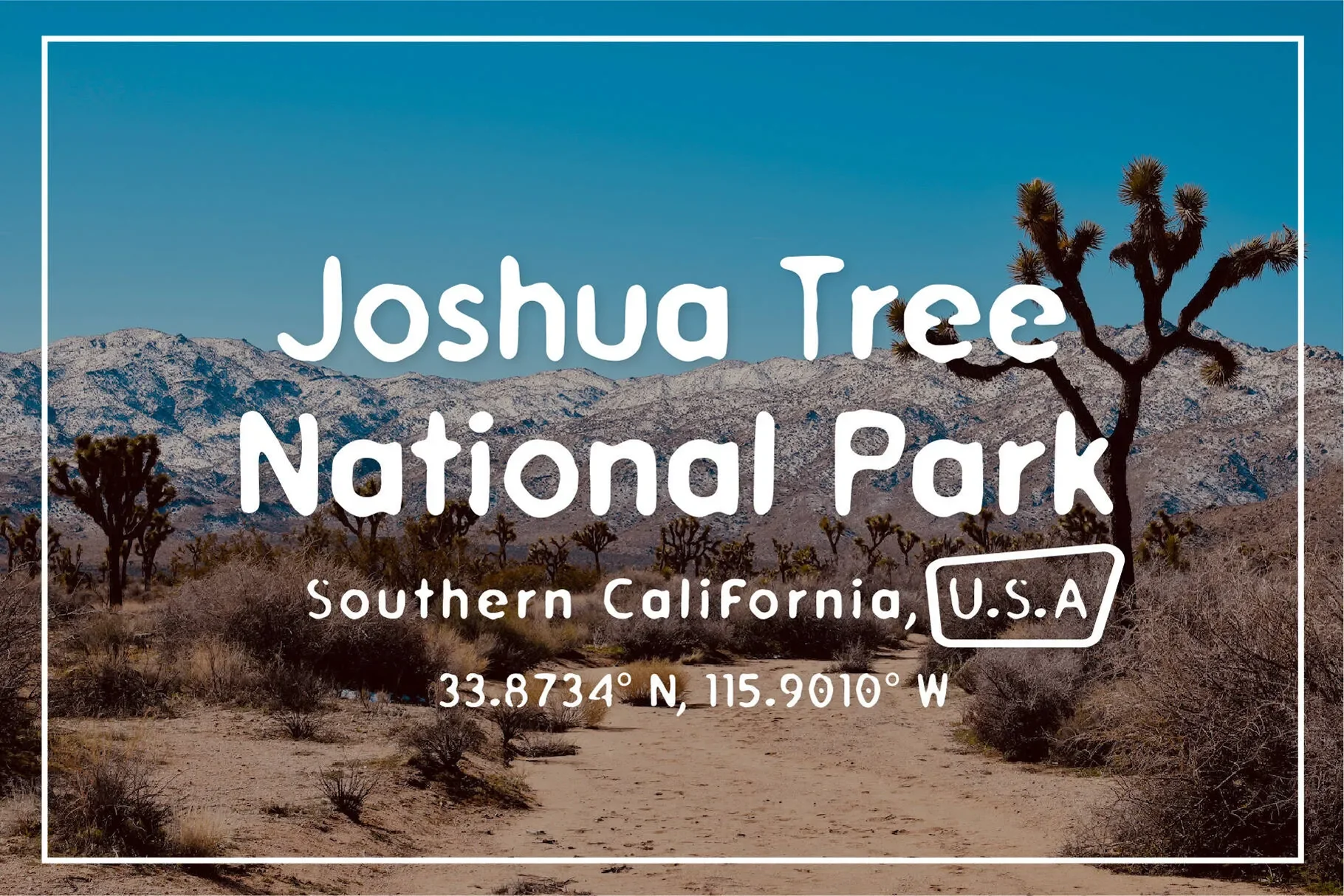 trailhead-font-joshua-tree-poster-mockup-by-vicarel-studios.webp