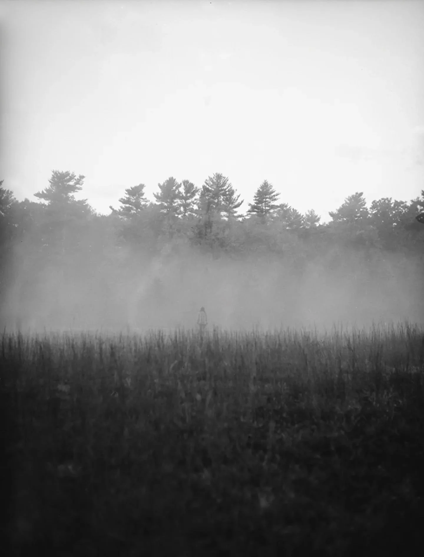 Foggy Figure ~ Self Portrait on 4x5

Tomorrow night (8/28) come see this piece and more at @nbam_aw ✨ I'd love to see some friends and familiar faces!
Thank you to @newbedfordlight for featuring some of my artwork at this month's Arts Illuminated!