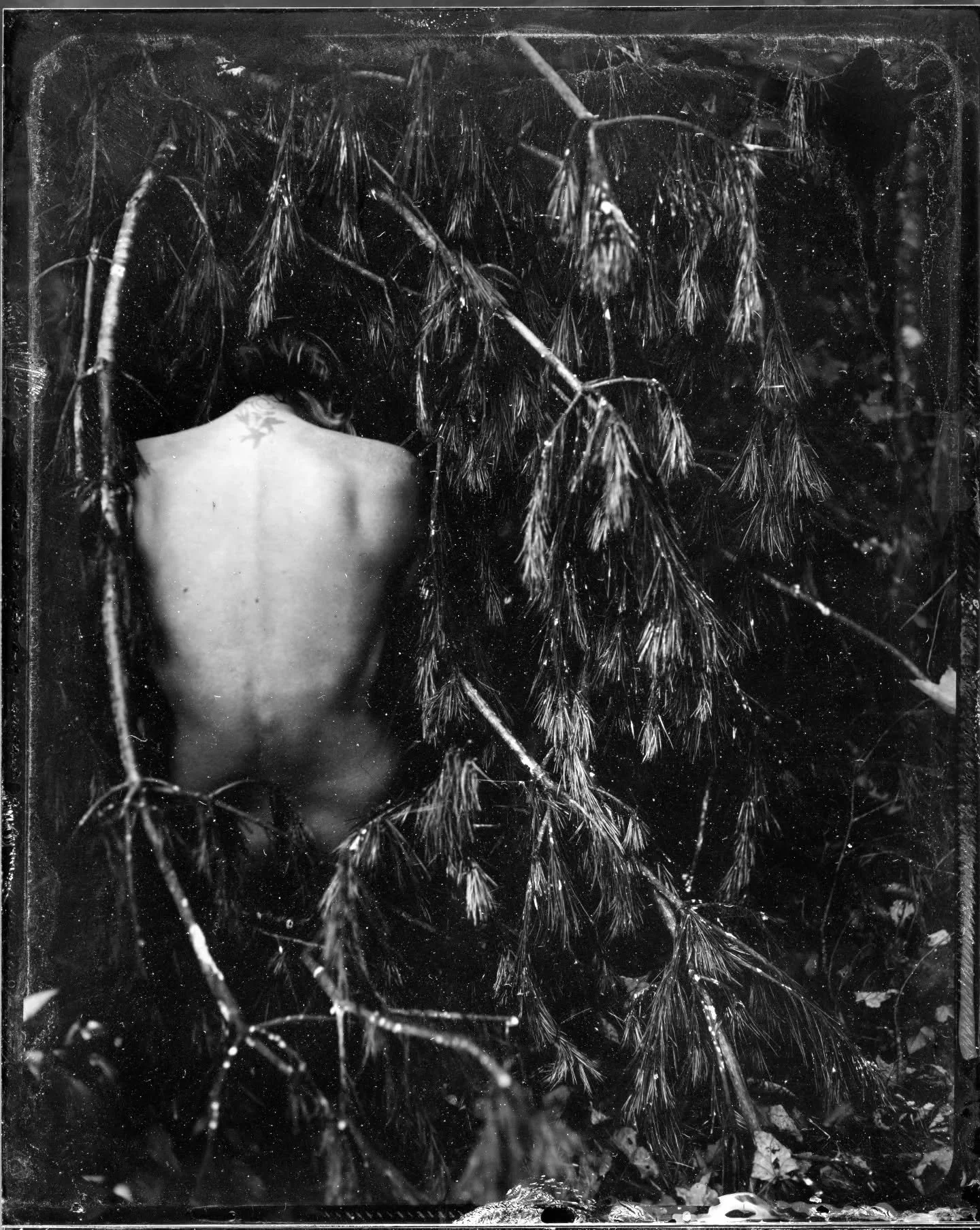 In the Pines ~ Self Portrait on Tin

Did you know I offer private bookings to travel to you for tintypes and film photography sessions? Visit my website at analogueashley.com/booking to fill out a request form or message me for inquiries! I'll only b