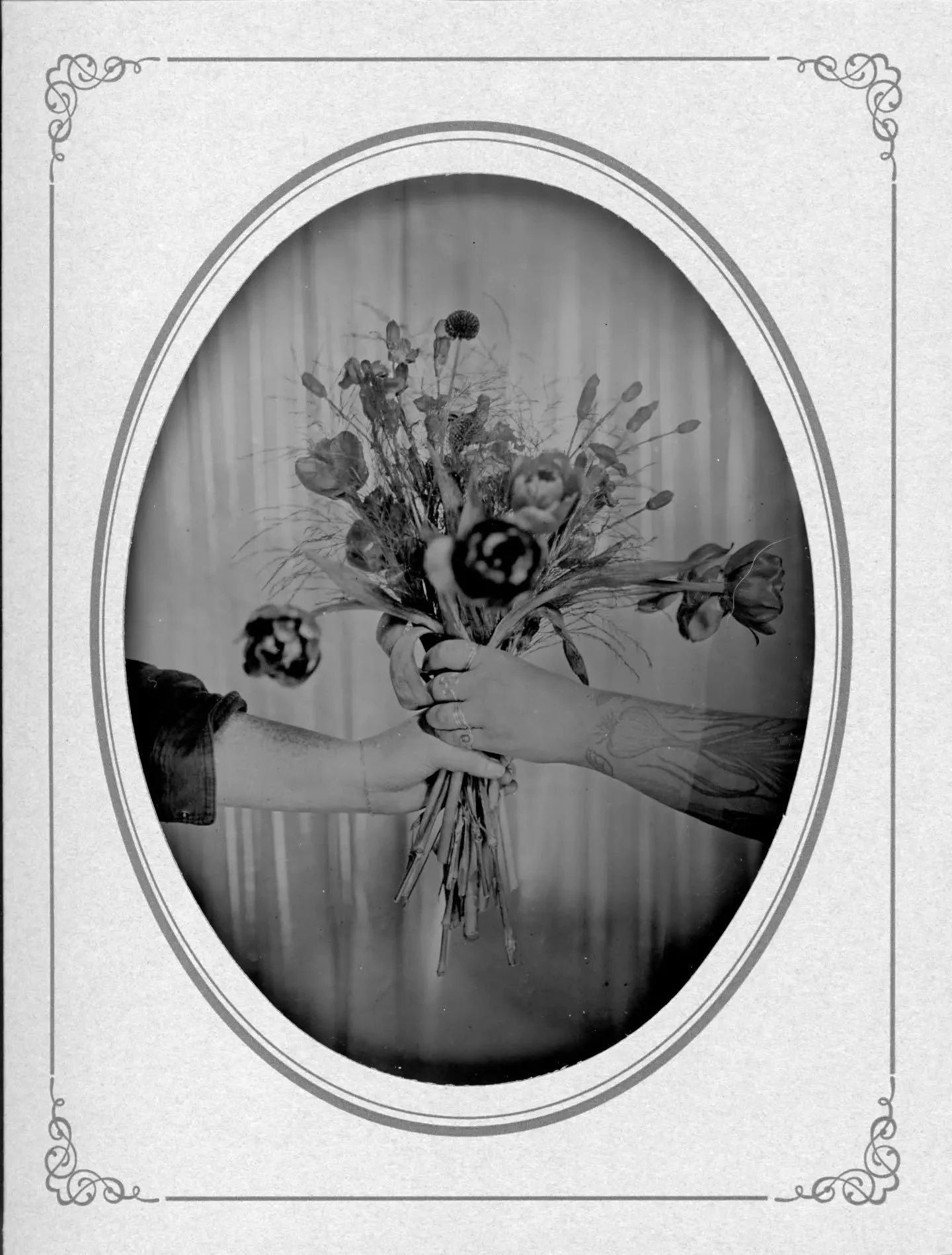 April showers have brought the May flowers 💐 and the May flowers have me eager to create outside!
This coming week and beyond, there is so much to look forward to:

MONDAY 5/25 at @osamequinfarm I'll be taking tintypes, soaking up the sun and enjoyi