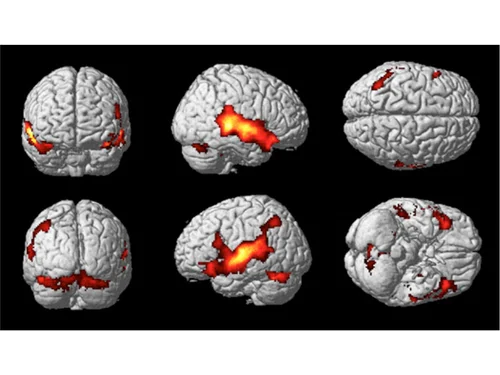 Work Optimization Key #4: Leverage Single Tasking
