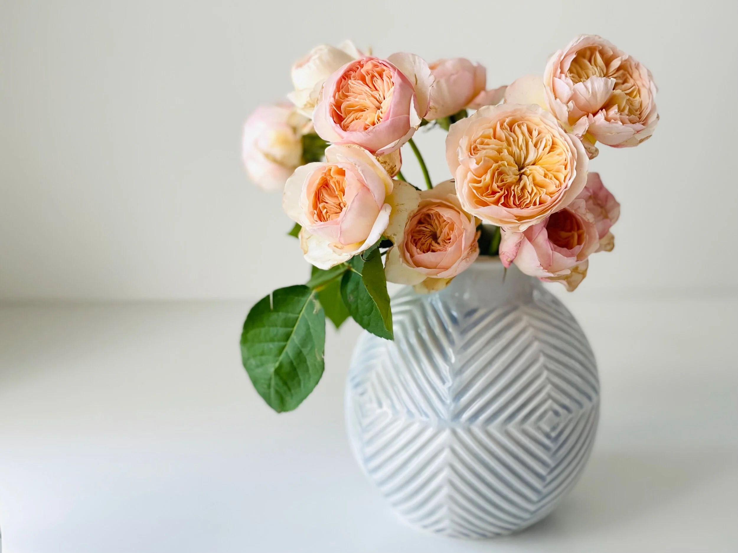 1B82E61E-4160-4A02-BA0E-D36792DF096E