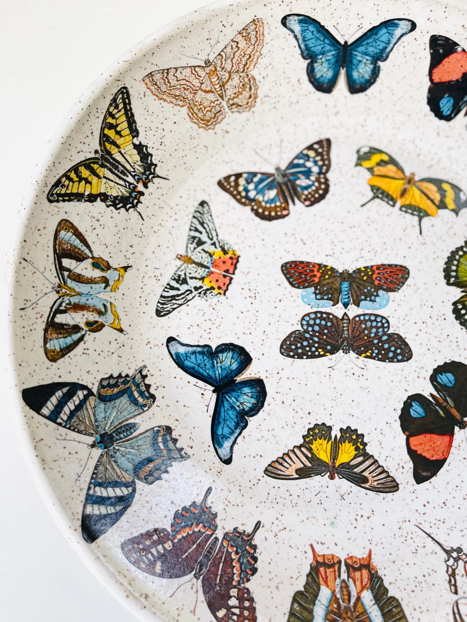 B253A67C-46BC-4FDE-A2A3-65A95F0E0091