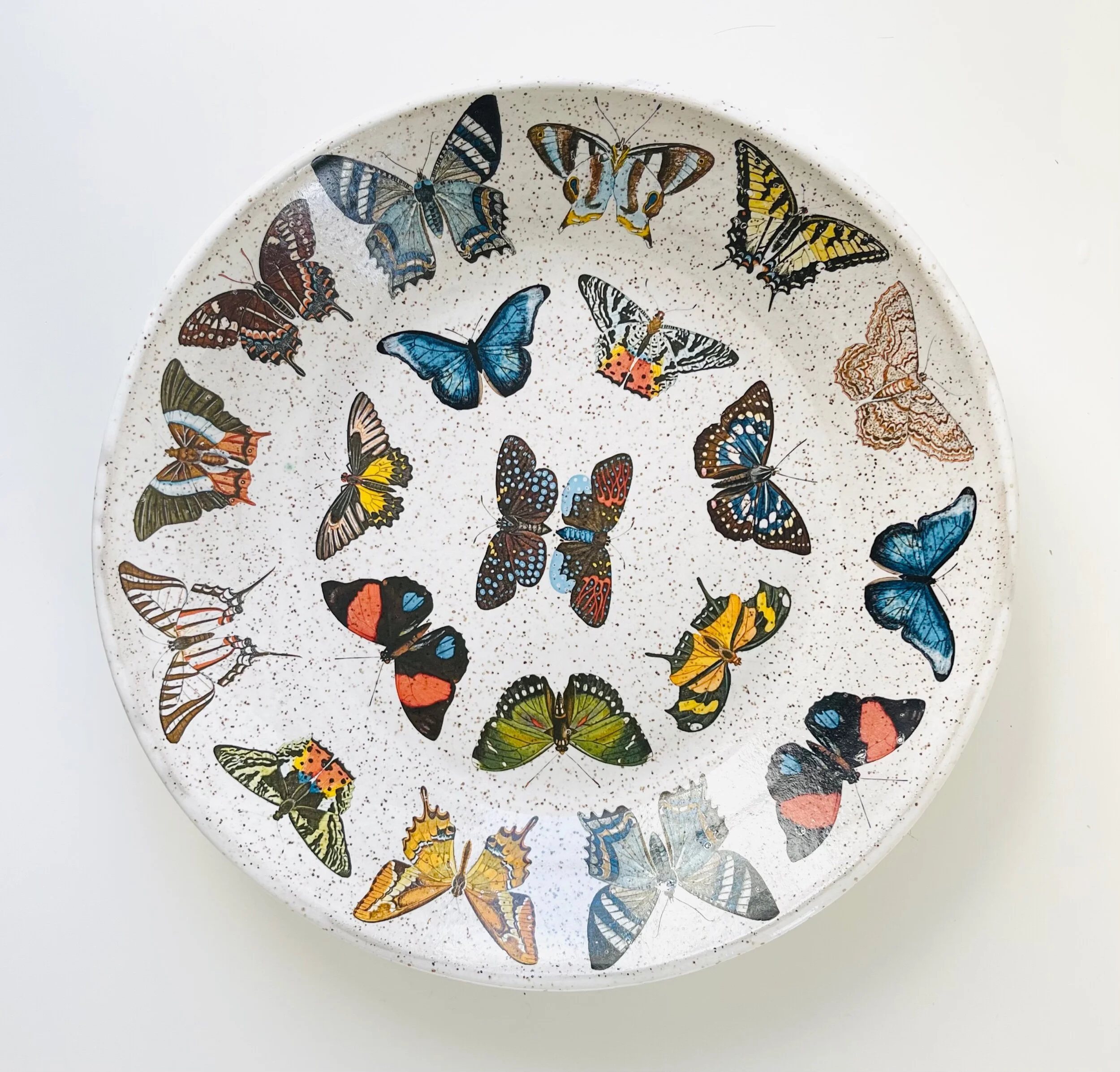 9B1DE868-155E-441C-9EC2-08DD609F6C27