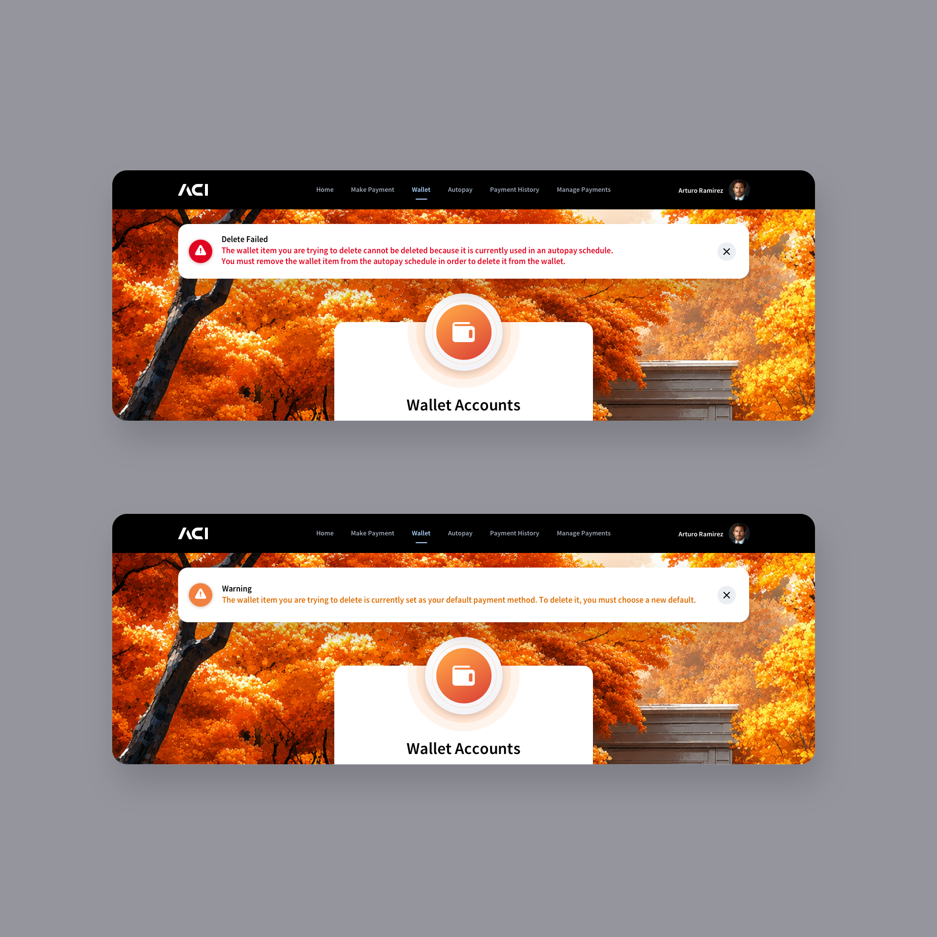 Digital Wallet Web App UI UX Design for Fintech - Wallet Notifications for Delete Failed and Warning