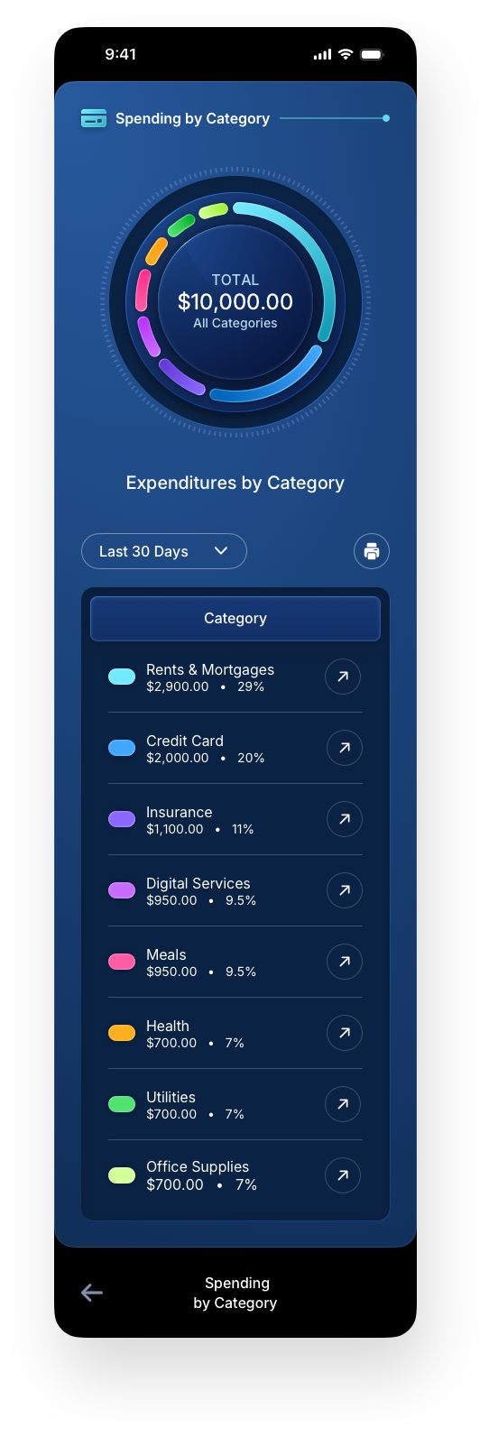 Fintech Mobile UI/UX Design - Dashboard Spending by Category Screen - Web App by The Skins Factory