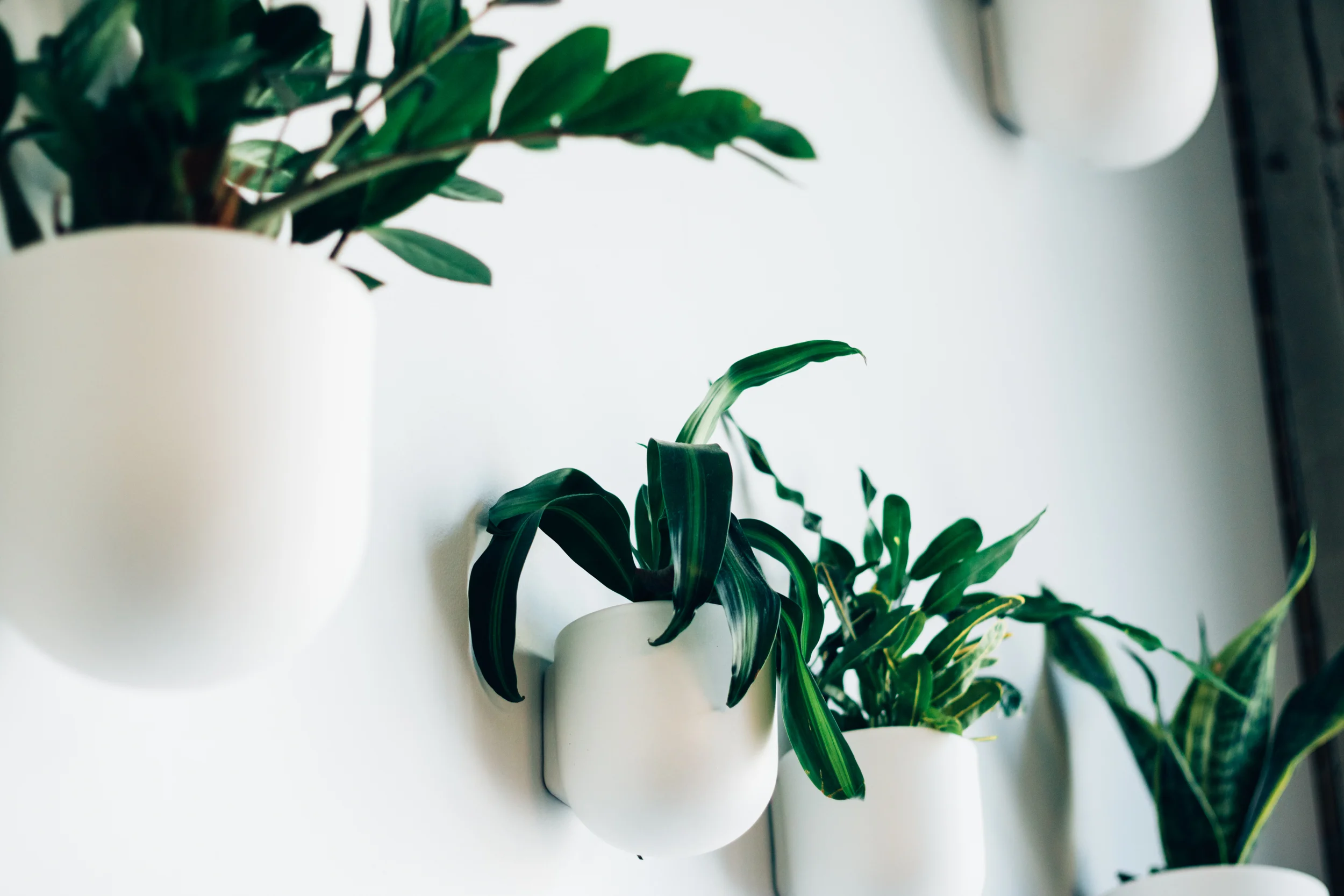 Sip July 2019-28.jpg