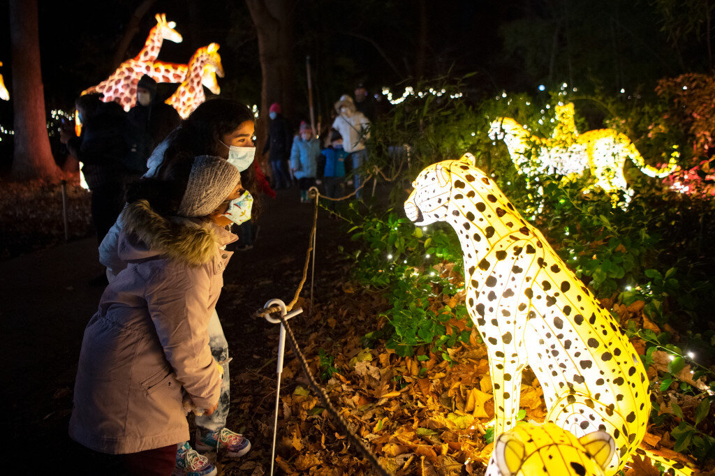 "Holiday Lights" at Bronx Zoo