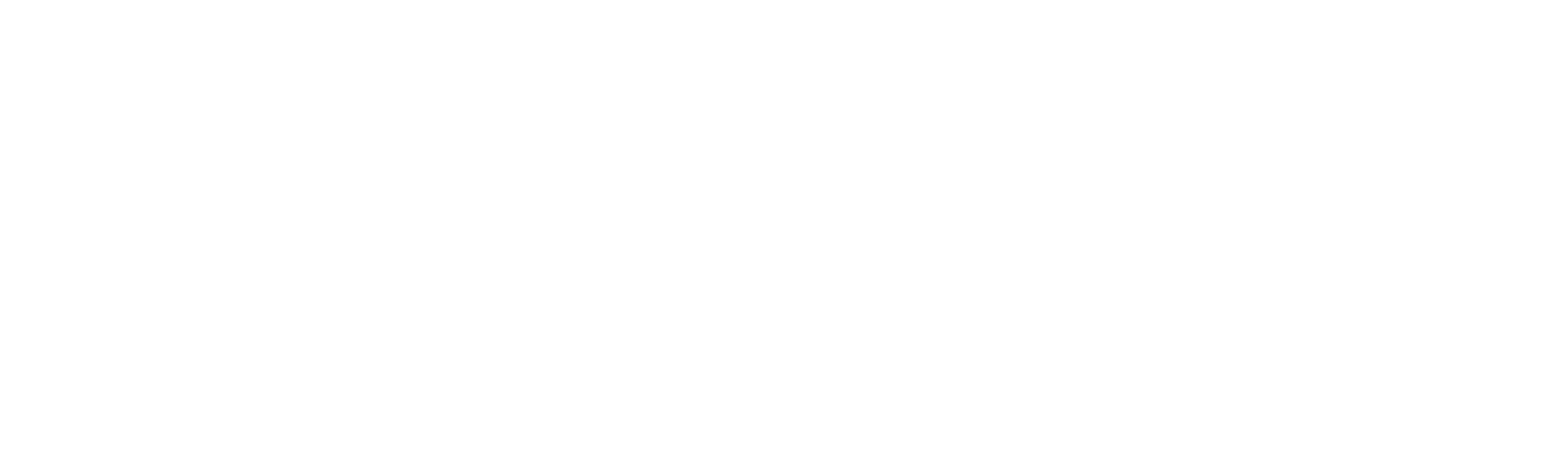 Insight and strategy white .png