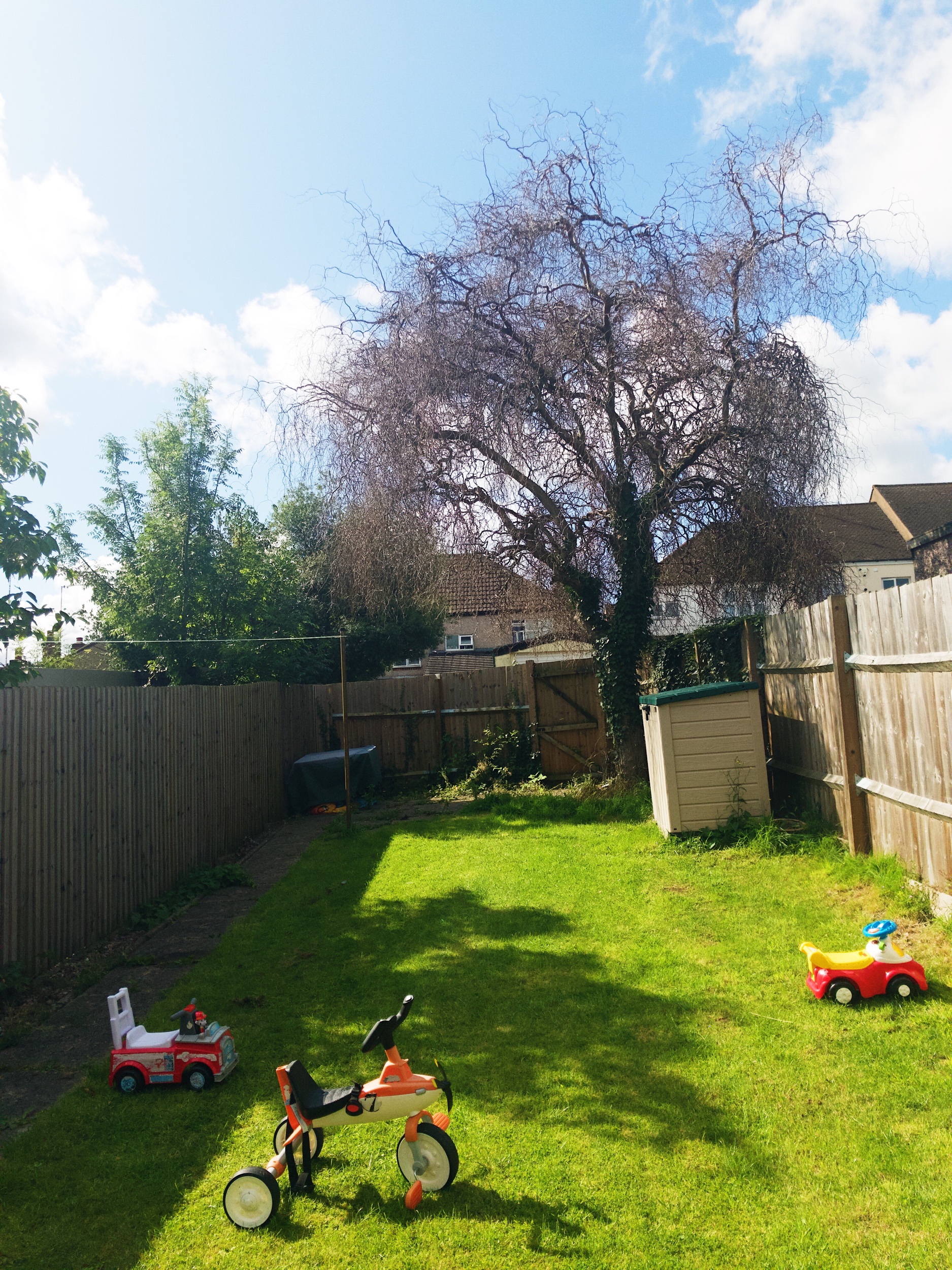 Garden in Coventry.jpeg