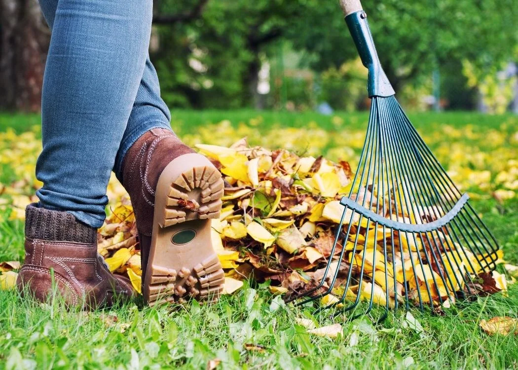 Leaf Raking Blog.jpg