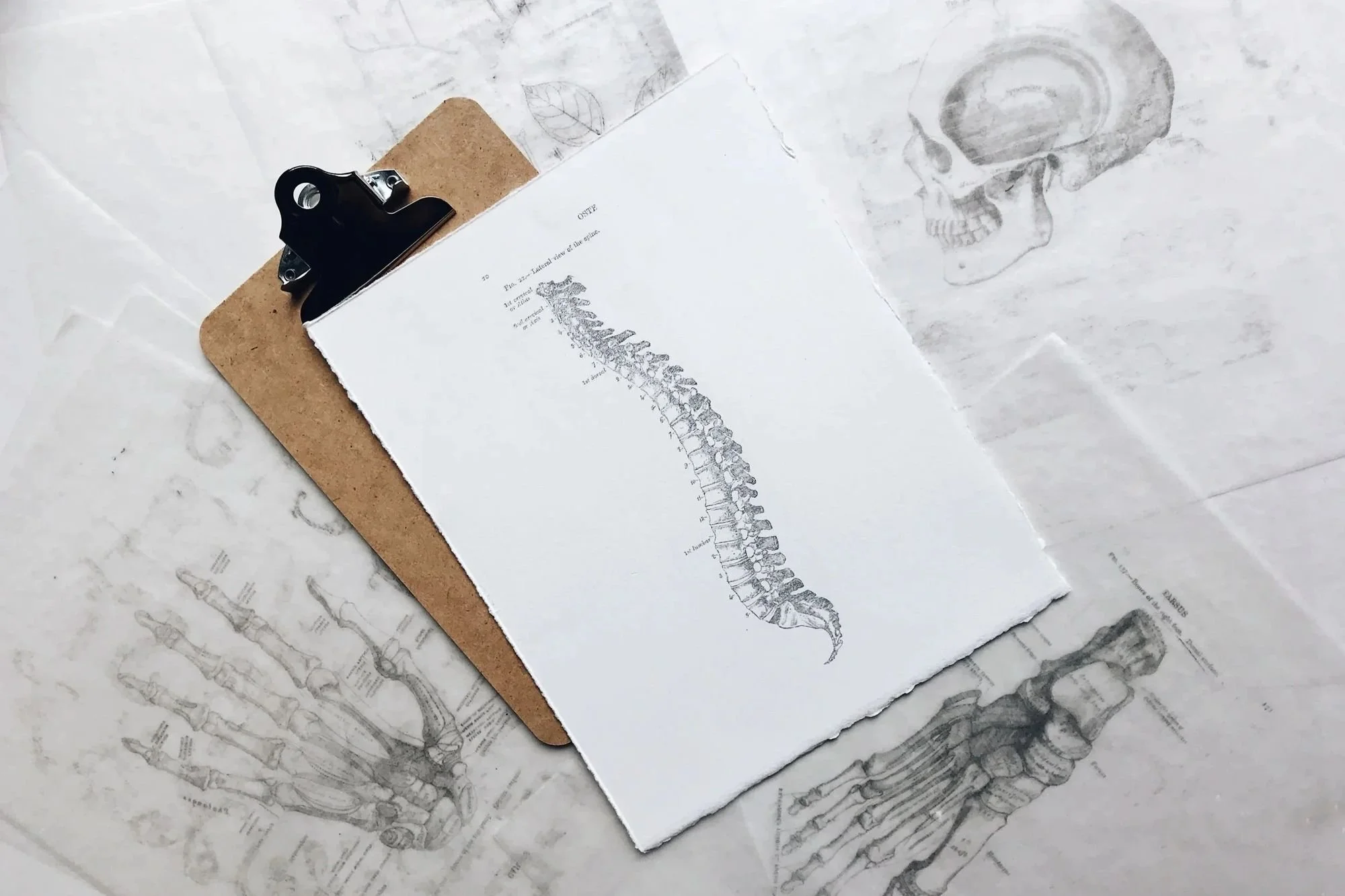 chiropractic-care-basingstoke.jpg