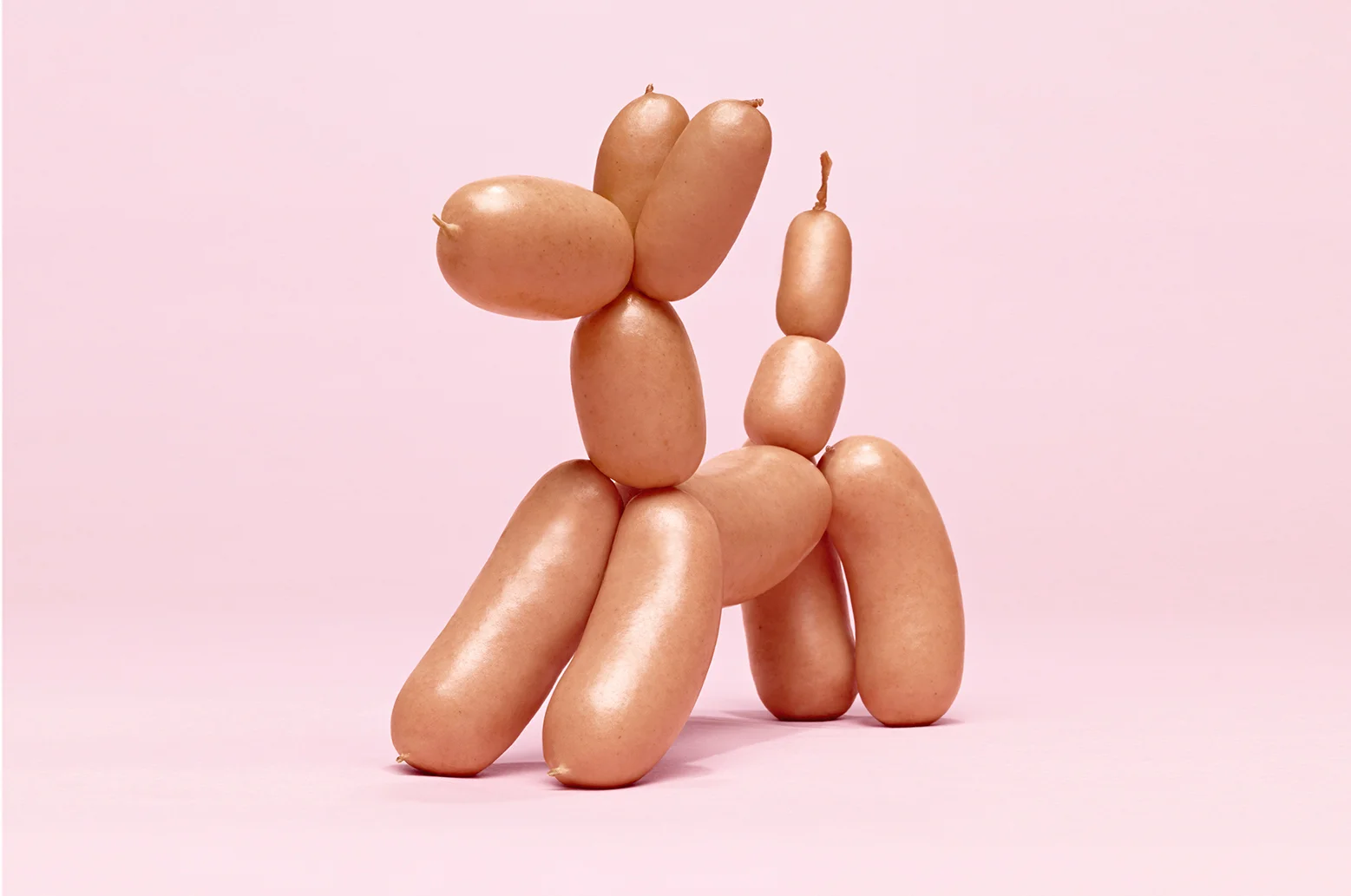 DJs_thumb_dog.jpg