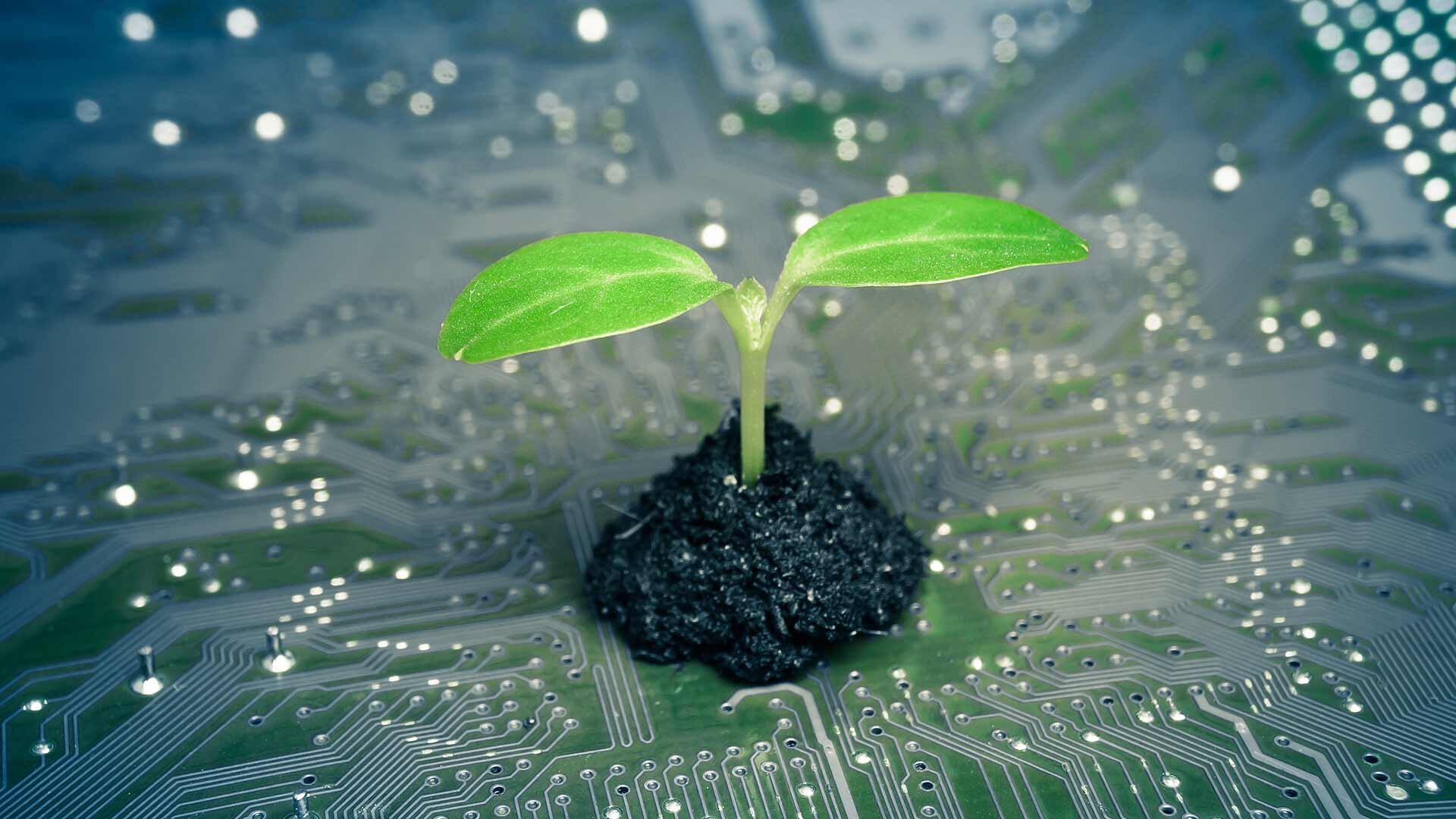 The environmental cost of your cloud choices