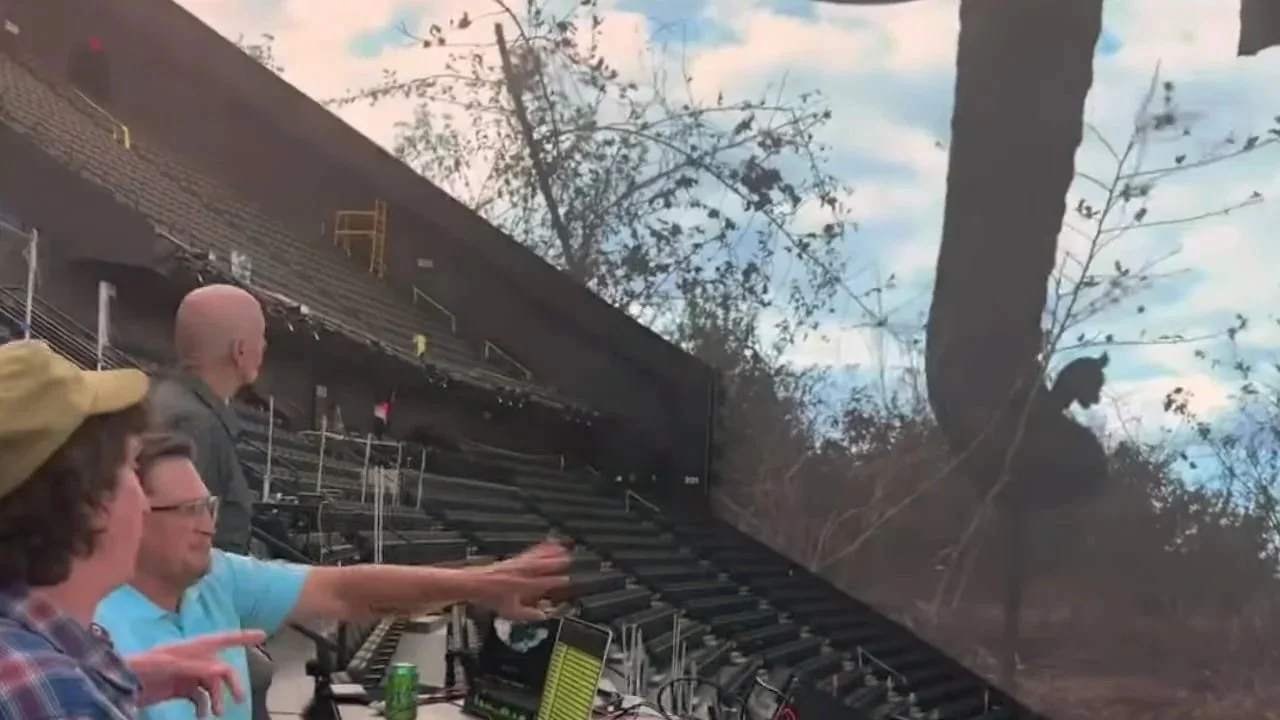 The first images from inside the Las Vegas Sphere look absolutely stunning (now with added U2!)