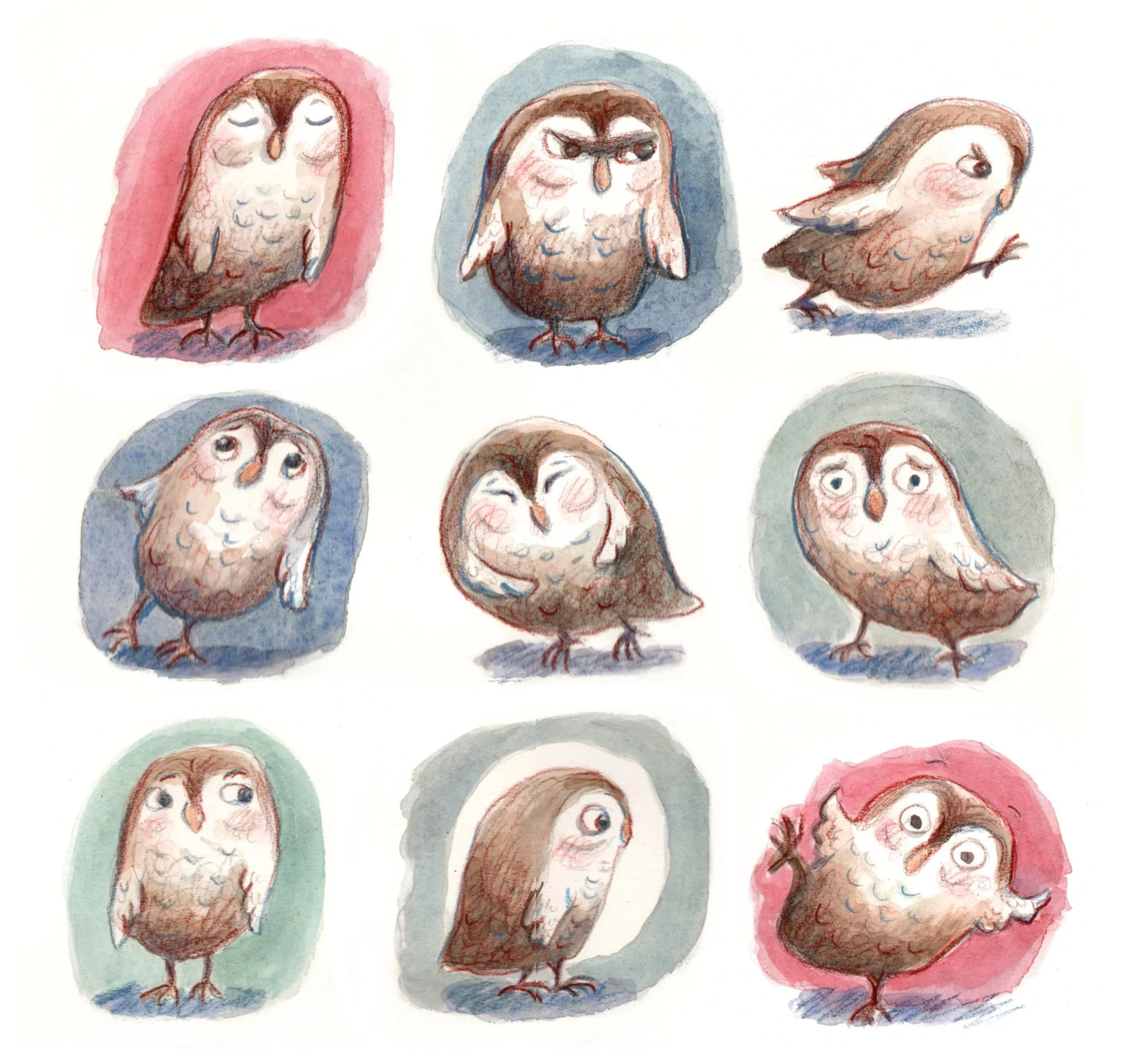 Owls_For_Website 2.jpg