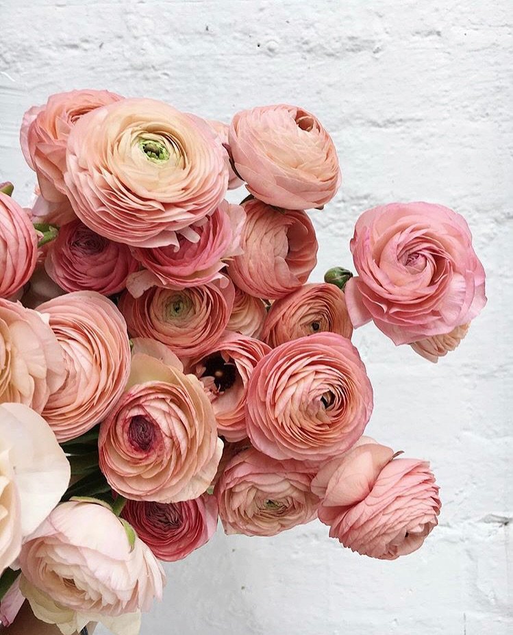 2025 so far &mdash;

I love our community so much! The first half of our year will have been spent with very little work, and mostly connecting with our people 💗 a very slow, and restful time. Excited to get back to weddings in summer, but soaking u