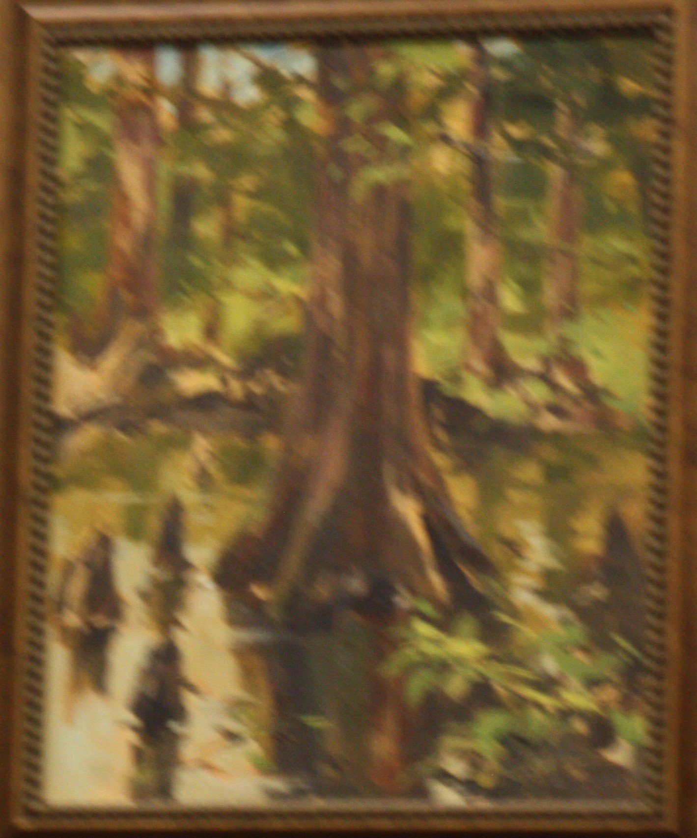 SECOND PLACE - "Pocomoke Cypress" Oil by Carla Huber