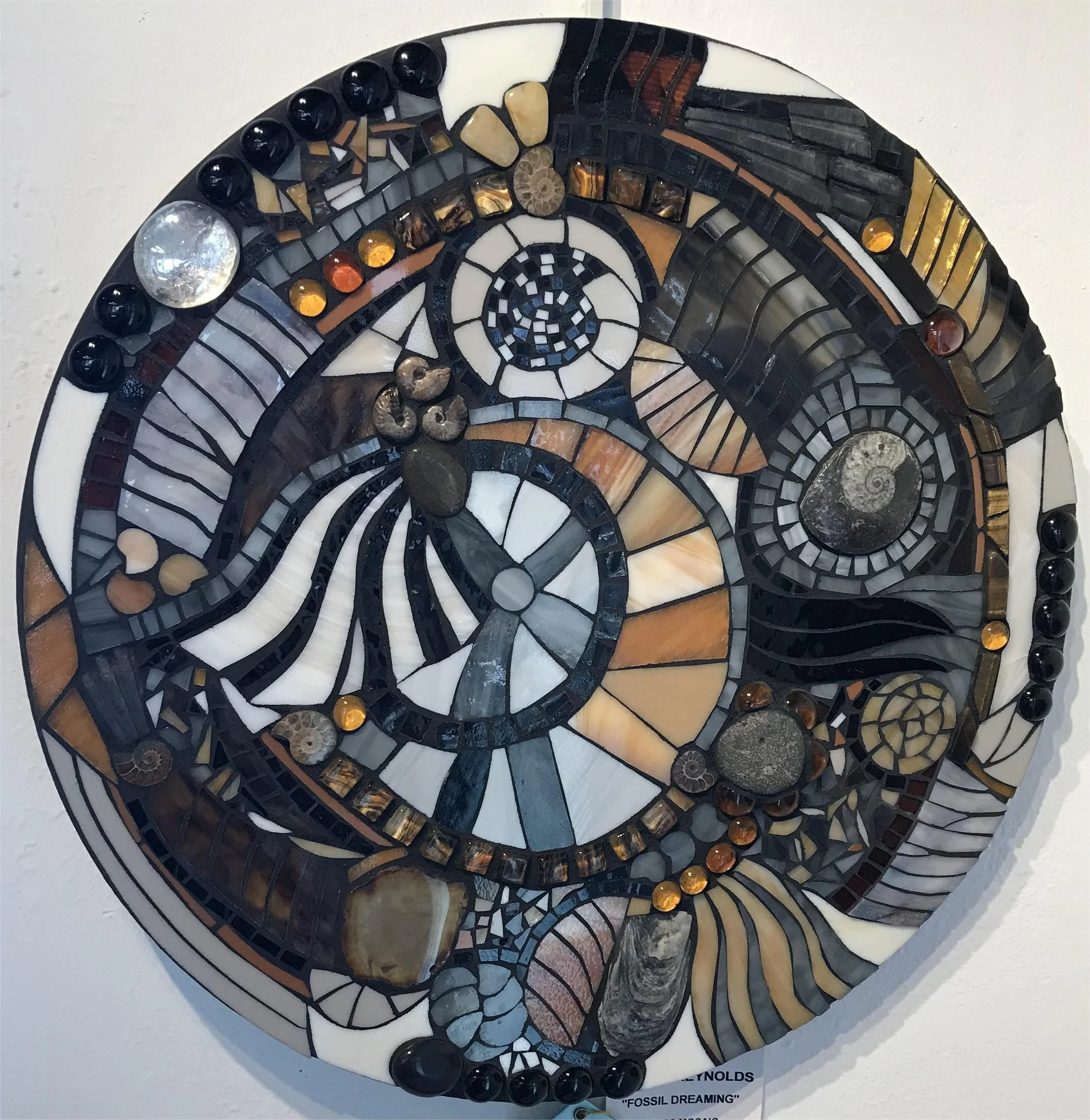 HM - "Fossil Dreaming" - Nancy Reynolds