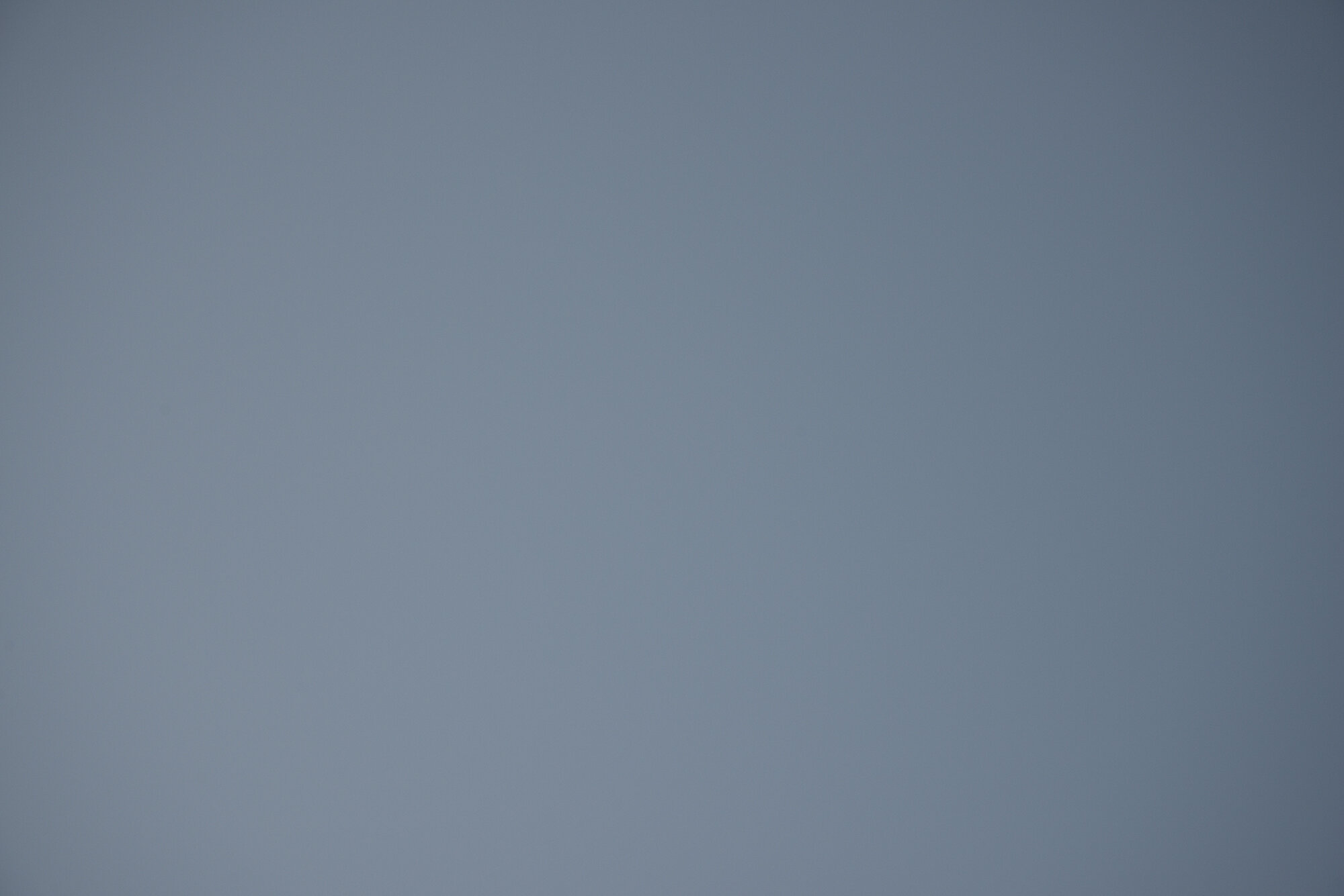 _DSC8081.jpg