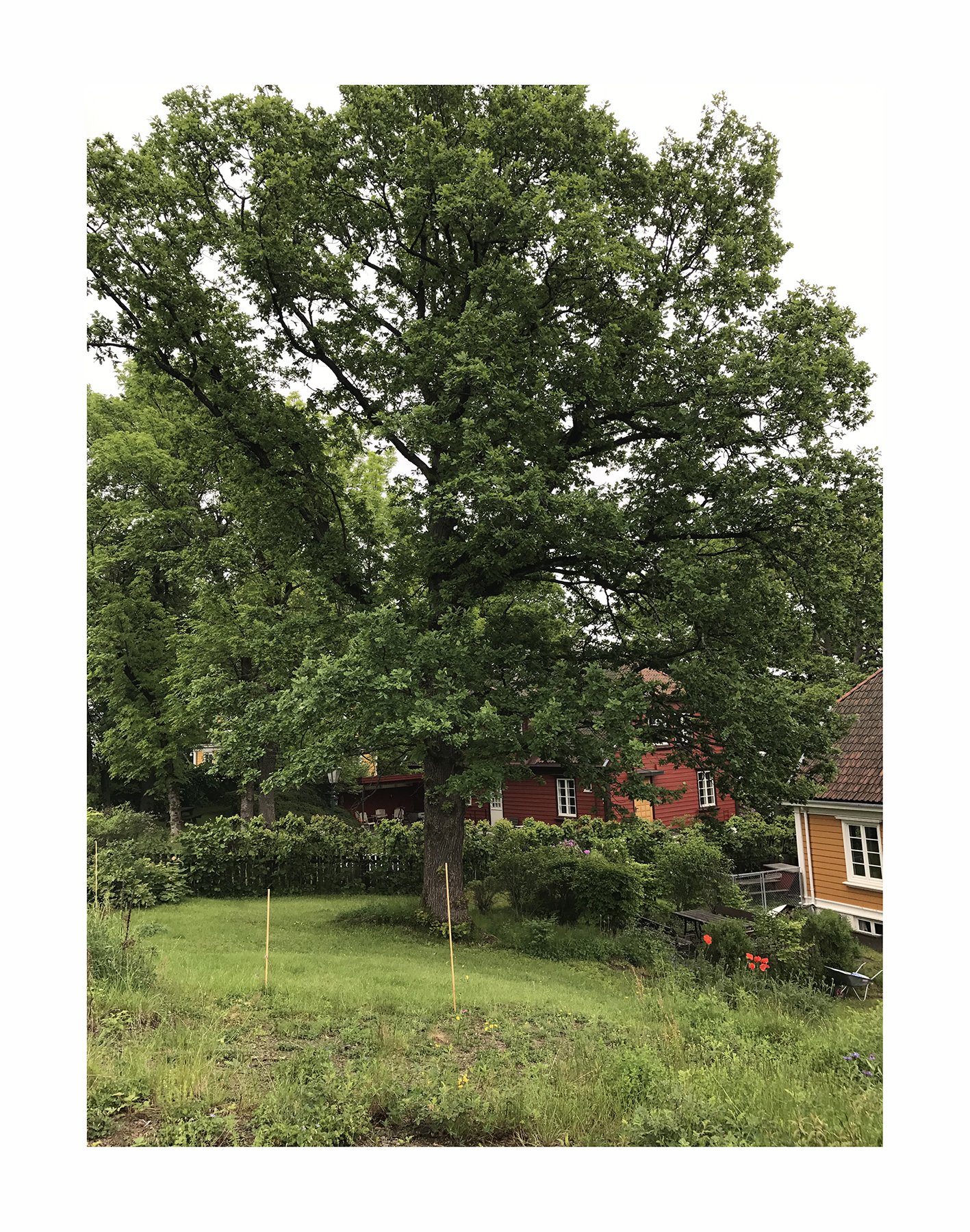 foto eks tomt_2 kopi.jpg