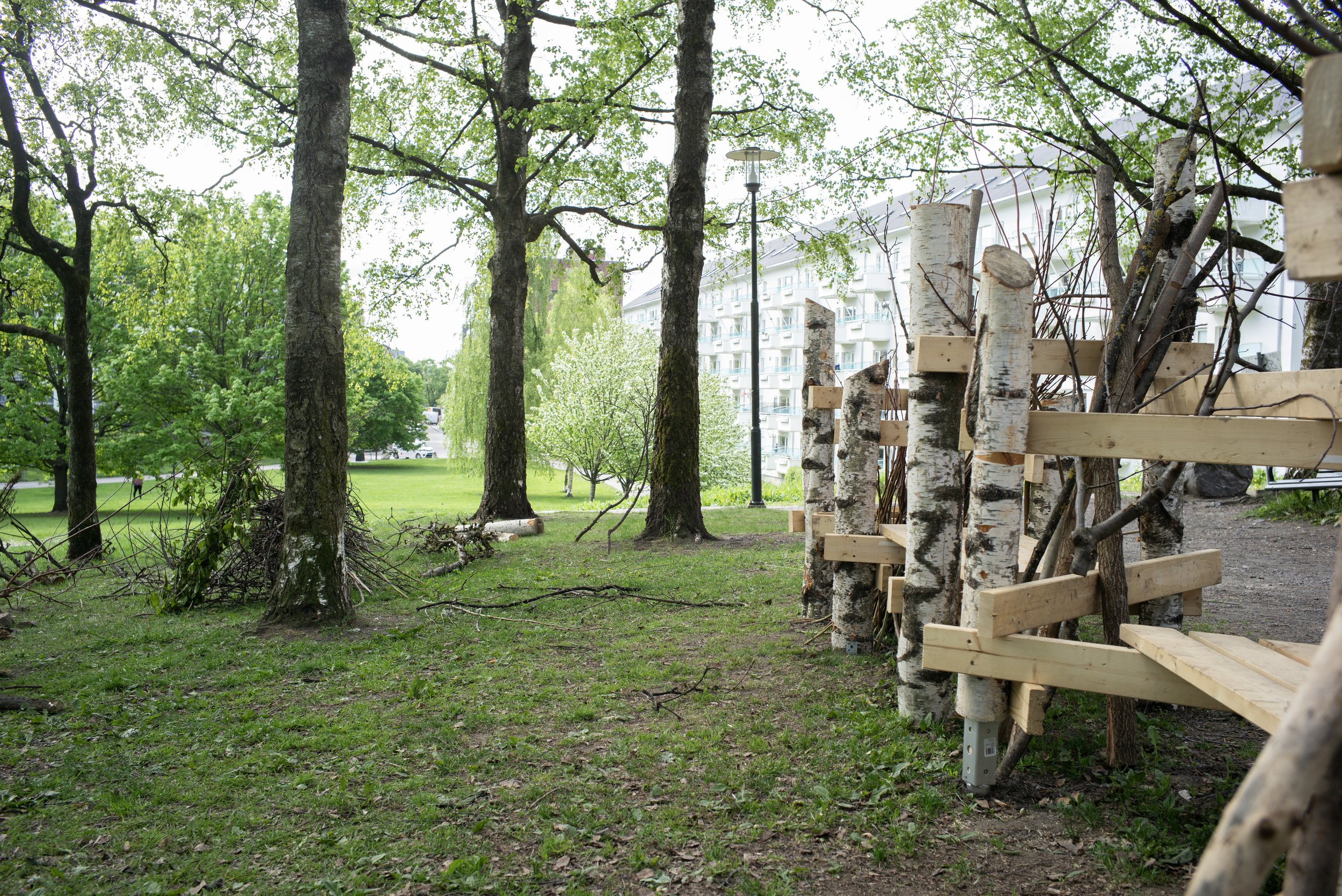 L1004045 fotograf Mattias Fredrik Josefsson.jpg