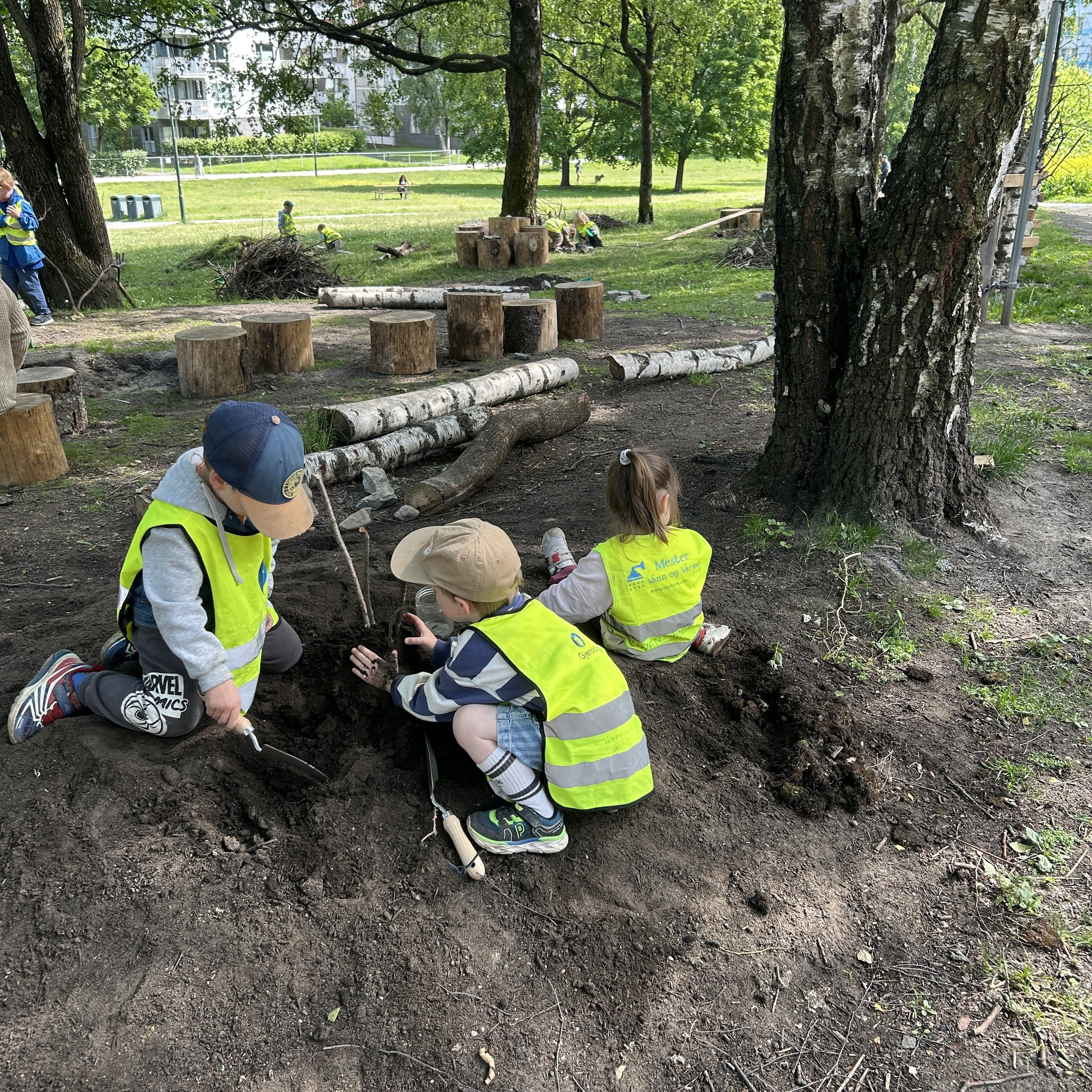 Bilde 11.06.2025, 15 34 17.jpg