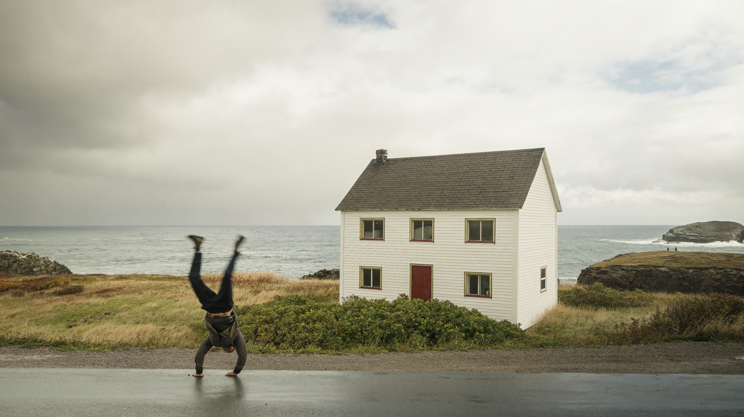 ORGANIC SOCIAL MEDIA