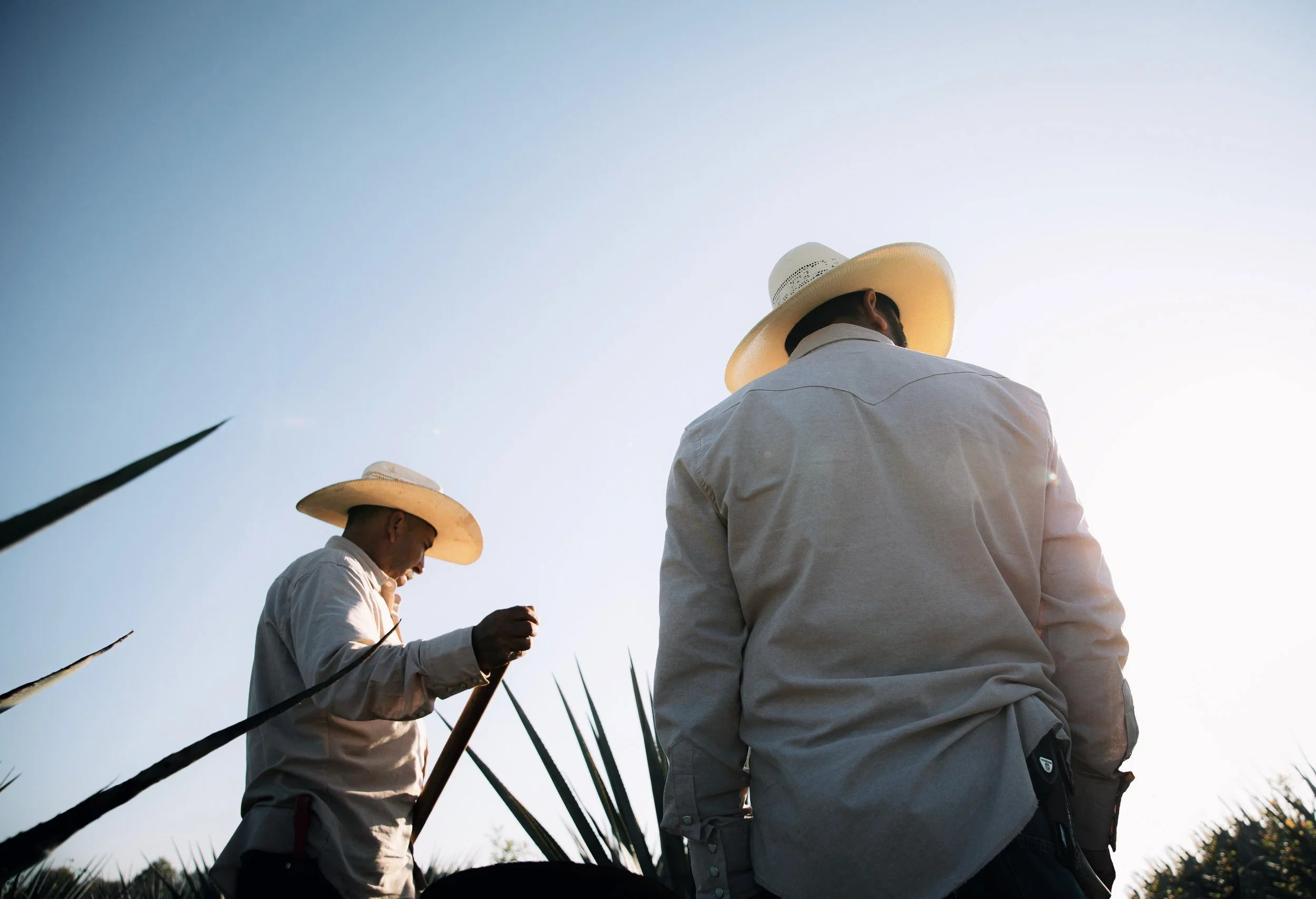 Stills from Nick Infante.webp