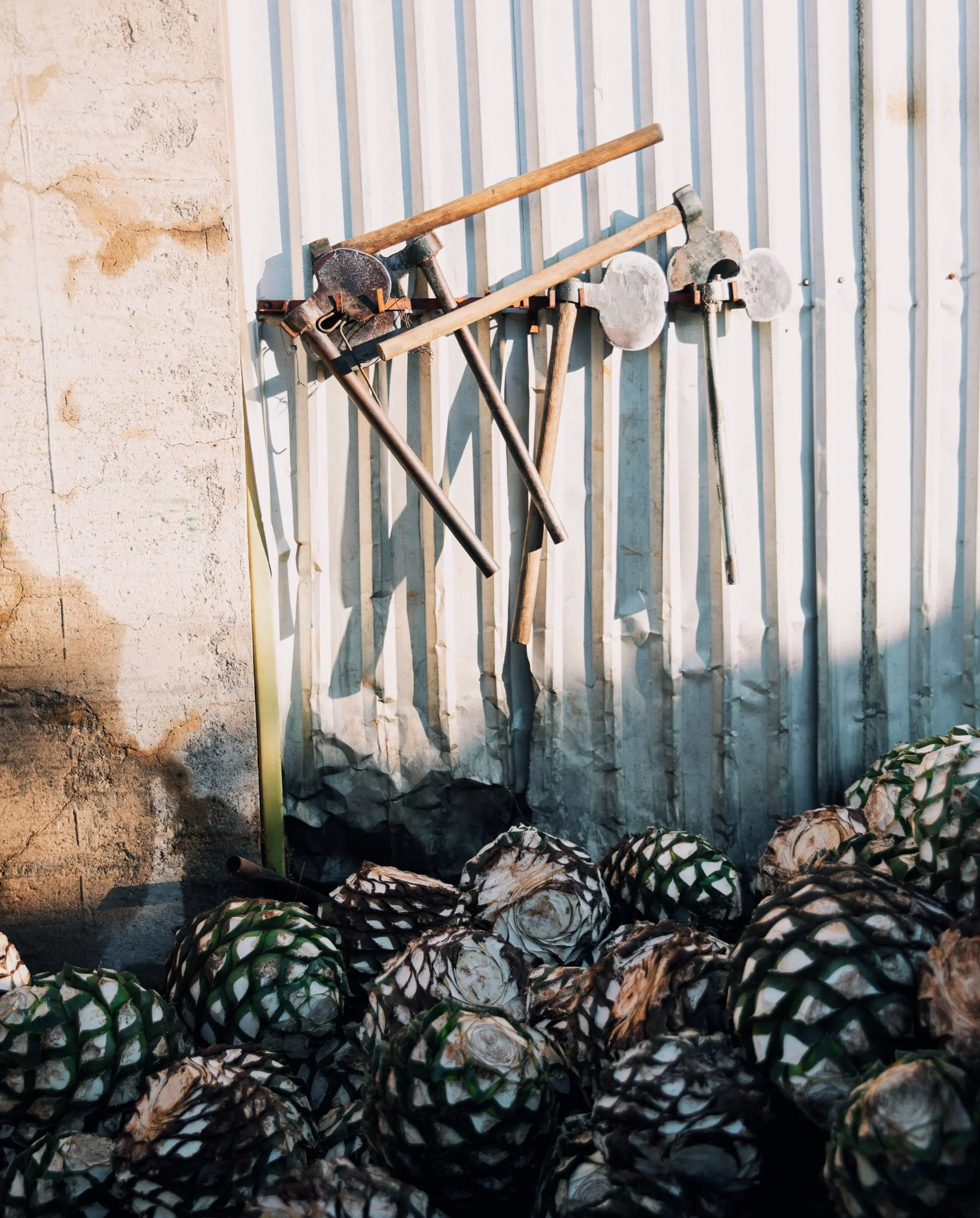 Stills from Nick Infante (1).webp