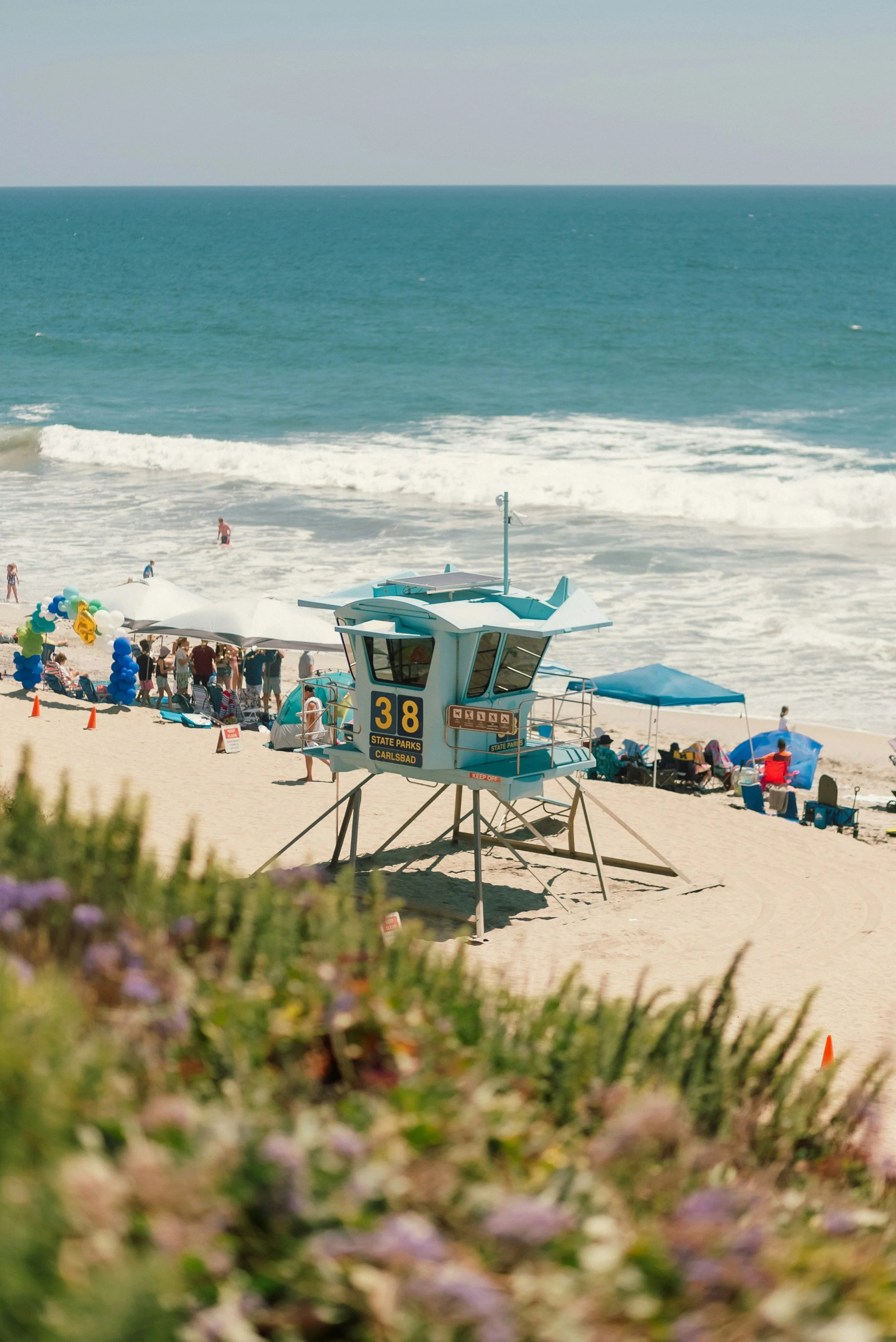 Beach scene with lifeguard station, people, tents, and balloons, ocean with waves in the background, and some sandy shore in the foreground with greenery and flowers.