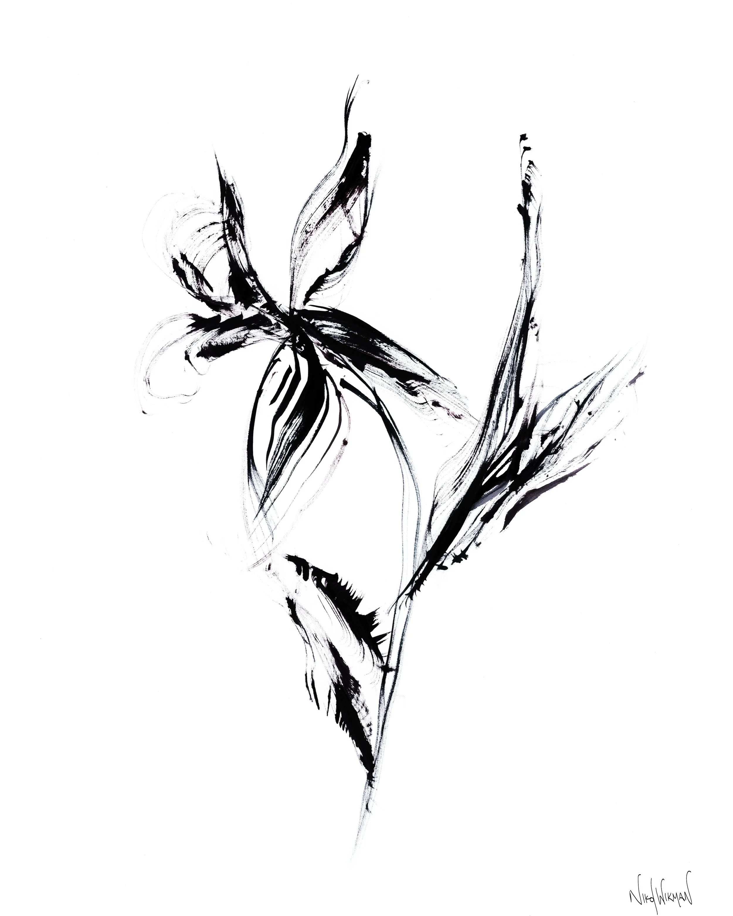 Beginning - Ink Floral Print