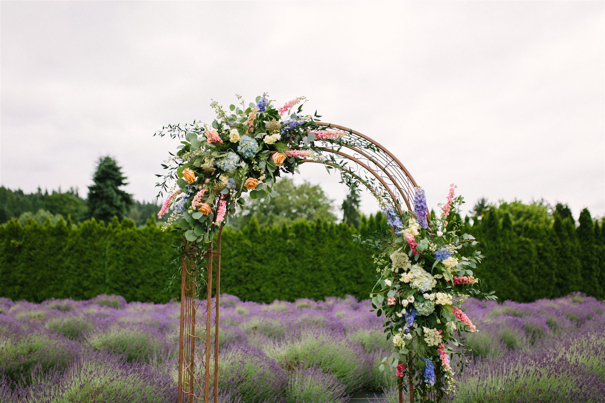 June Woodinville Lavendar Wedding