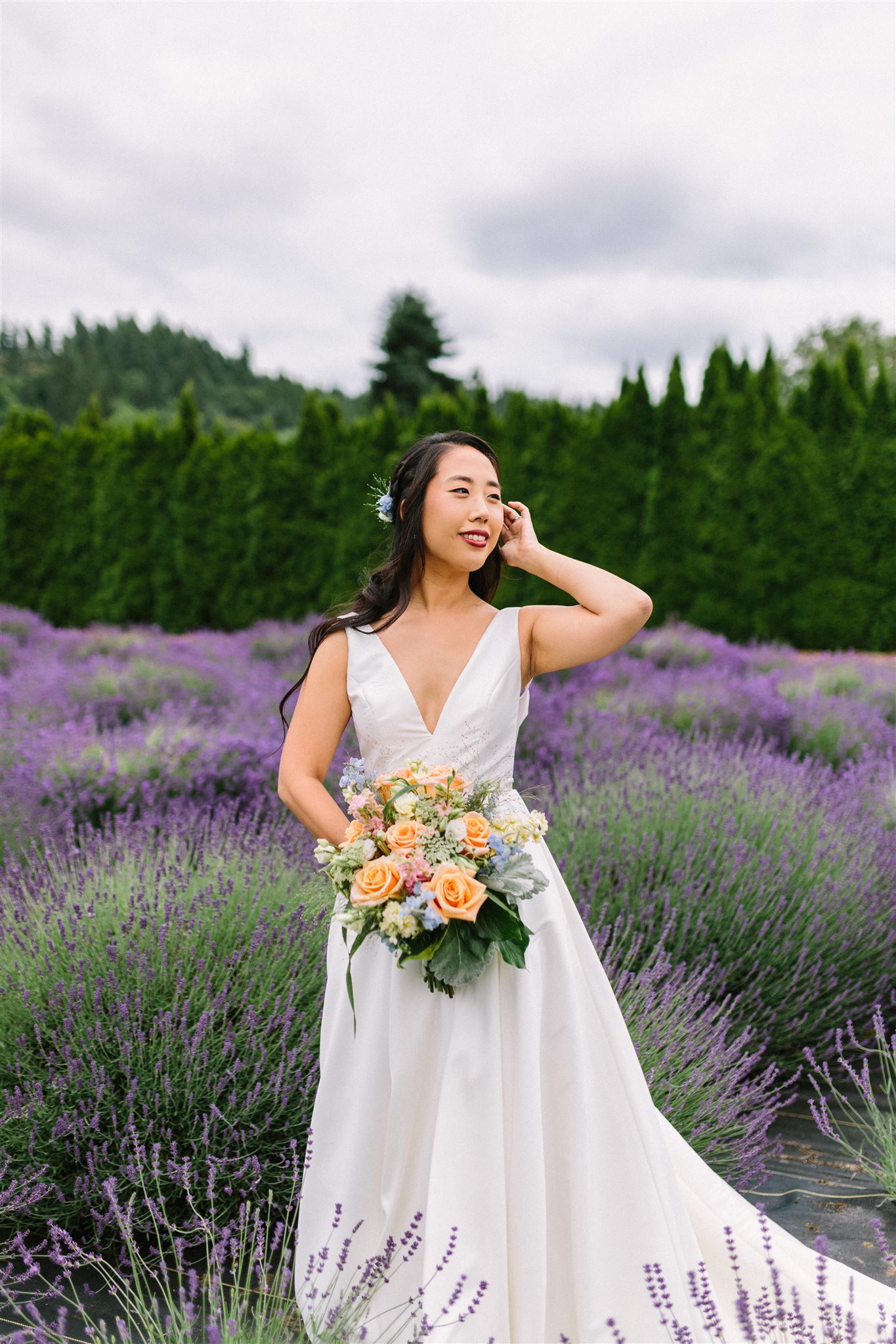 June Woodinville Lavendar Farm