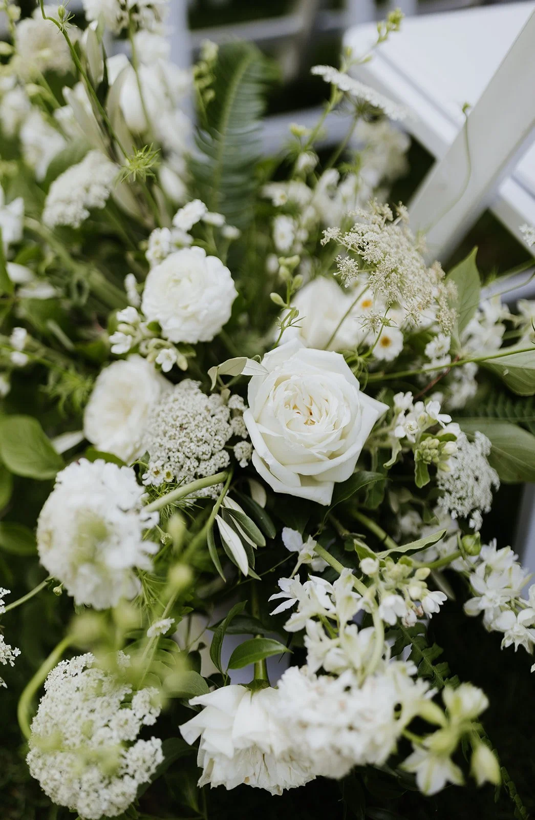 image-asset (22).jpeg