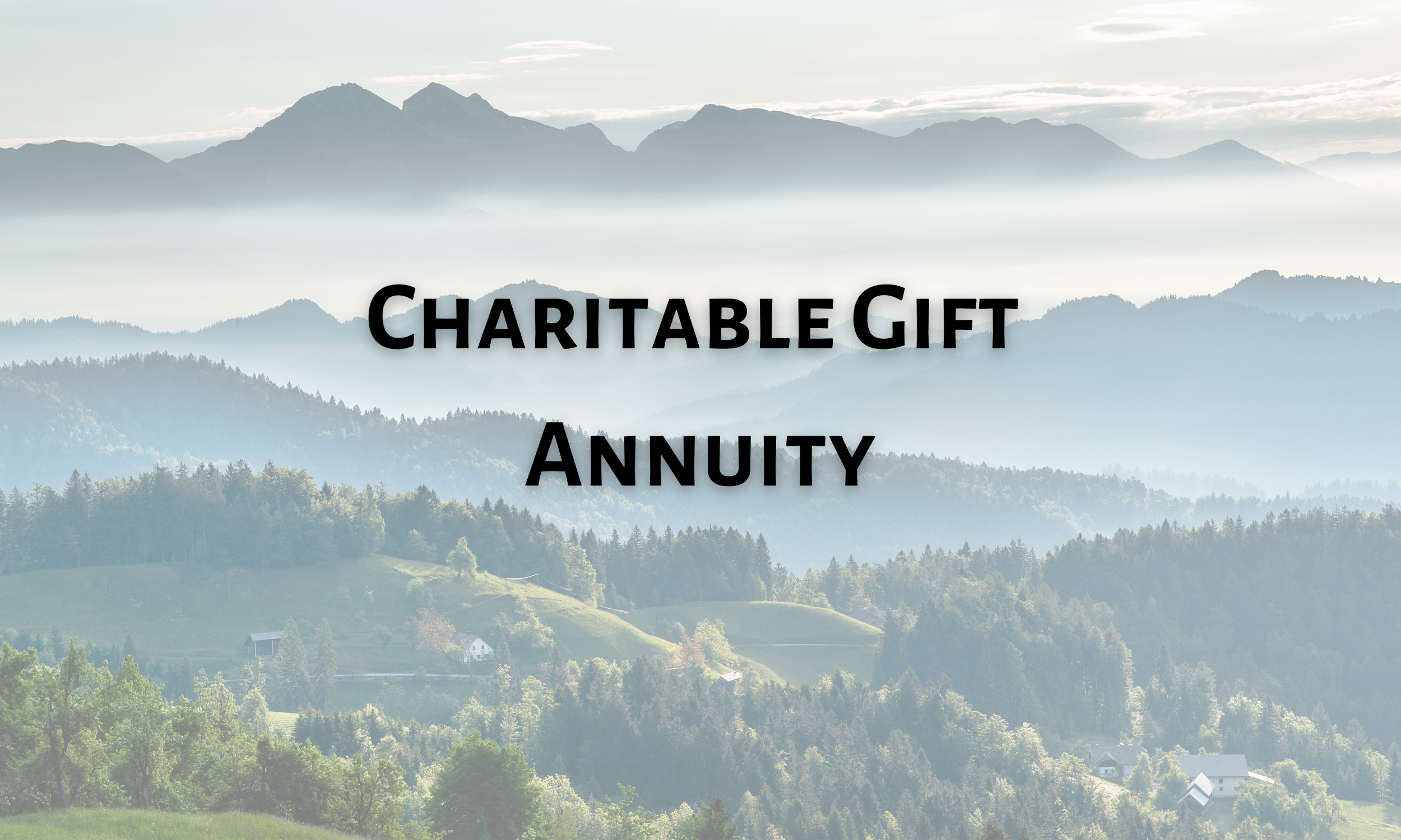 Charitable Gift Annuity