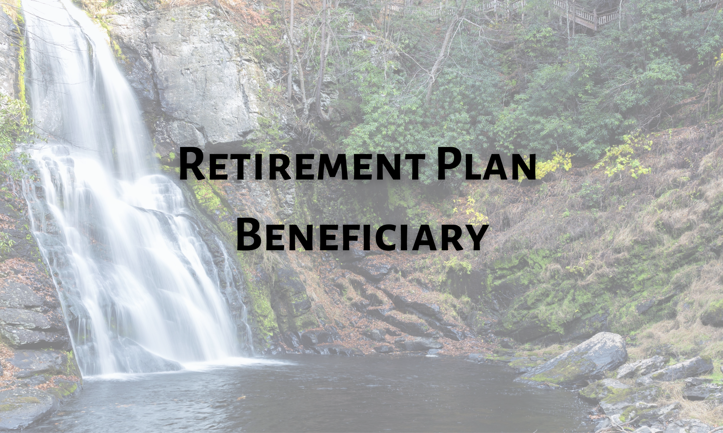 Retirement Plan Beneficiary