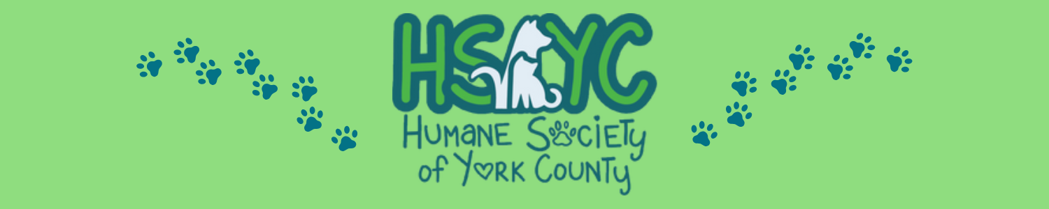 Non-Profit Partner: Humane Society of York County