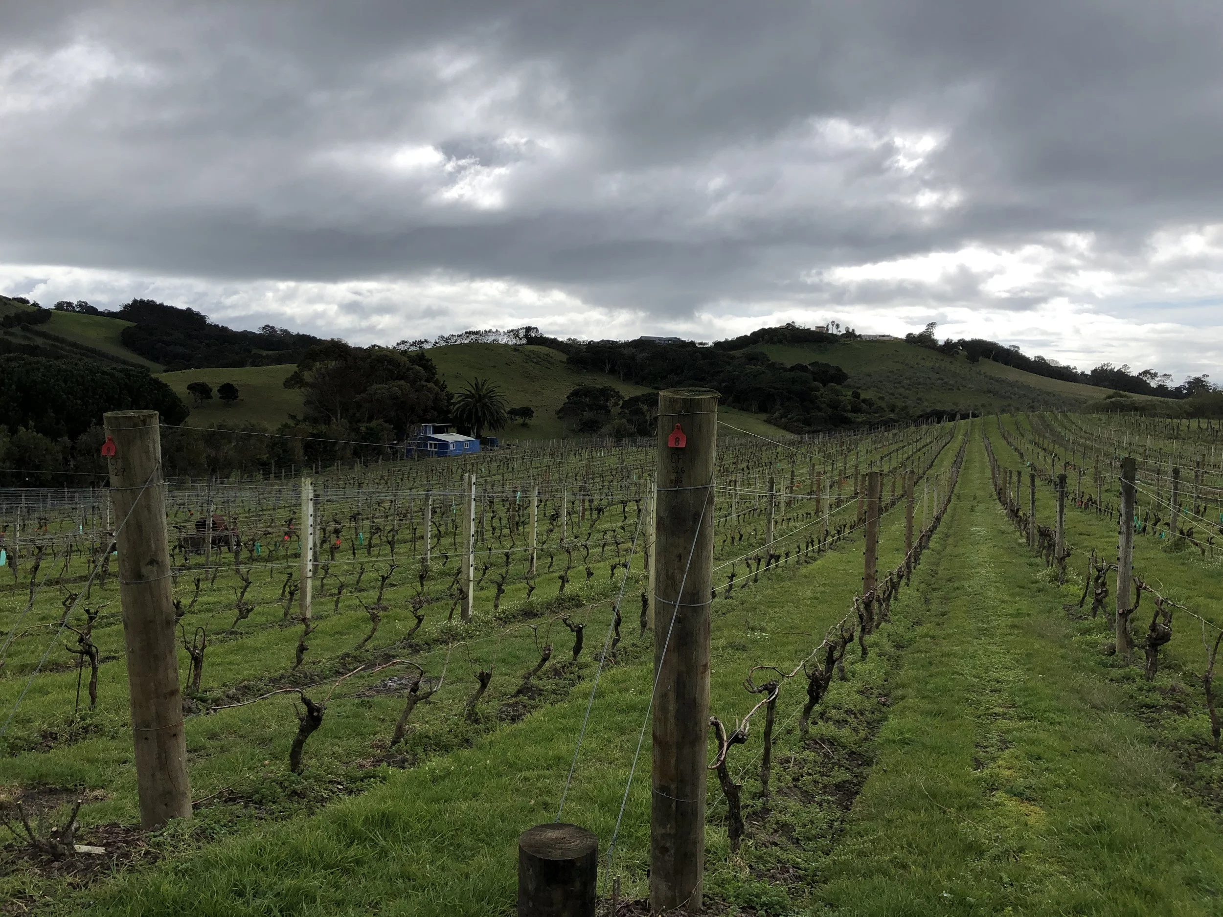 Auckland