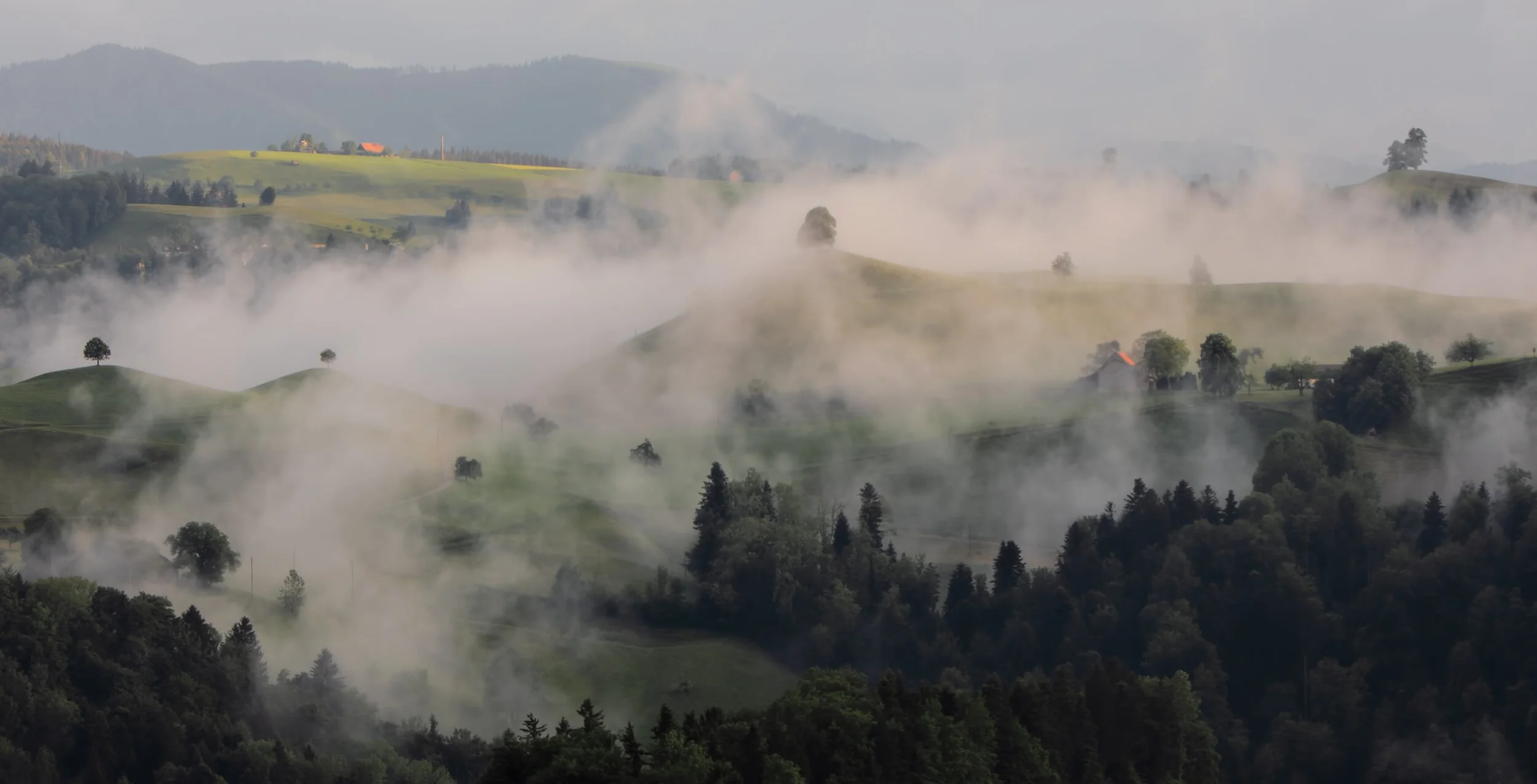 Why Preach Lamentations?