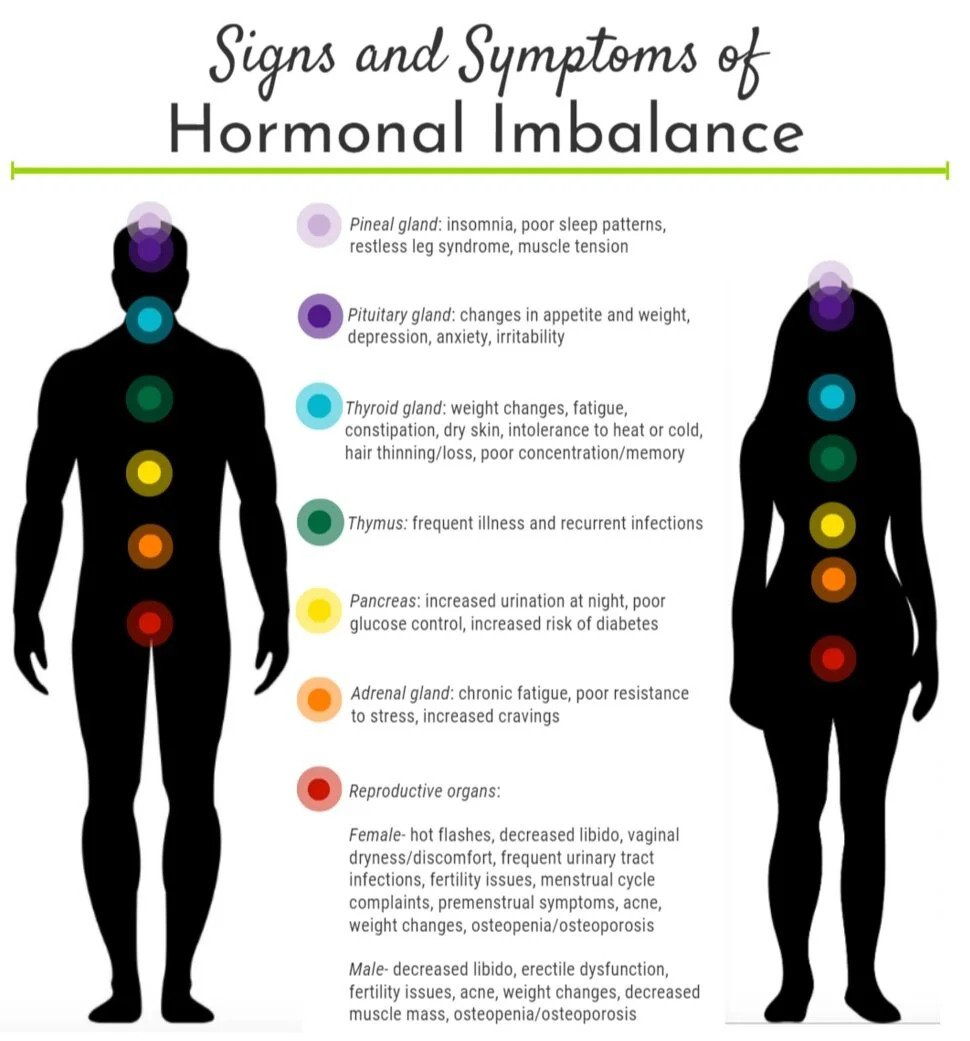 Info with color coded signs on various parts of silhouettes, titled, "Signs and Symptoms of Hormonal Imbalance", each color point detailing info specific to the area