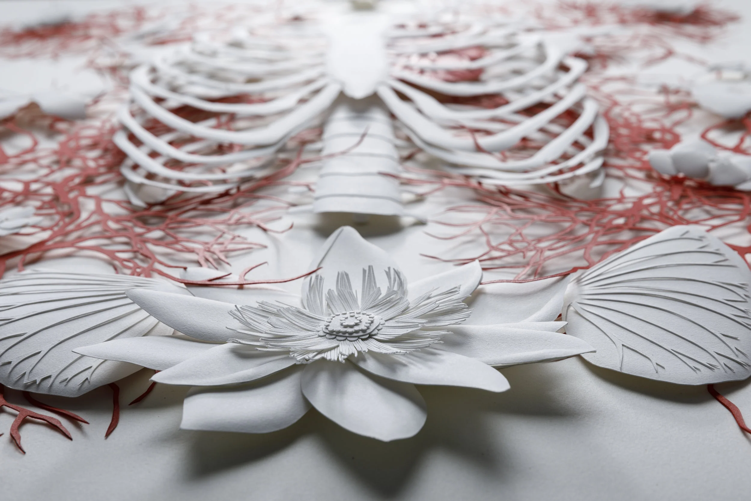 Marisa Art-3573 (1).jpg