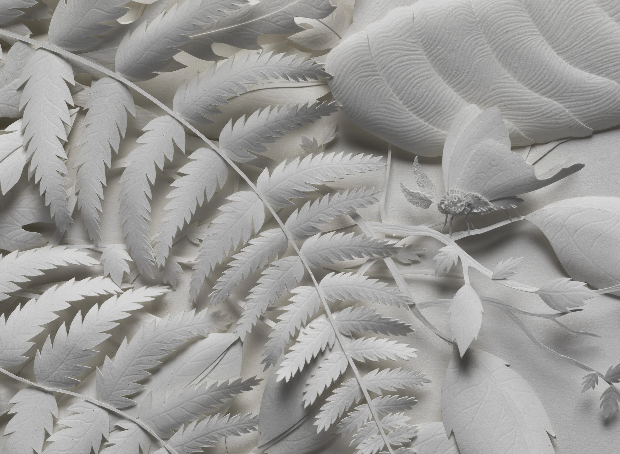 Paper Art-2520-Edit (1).jpg