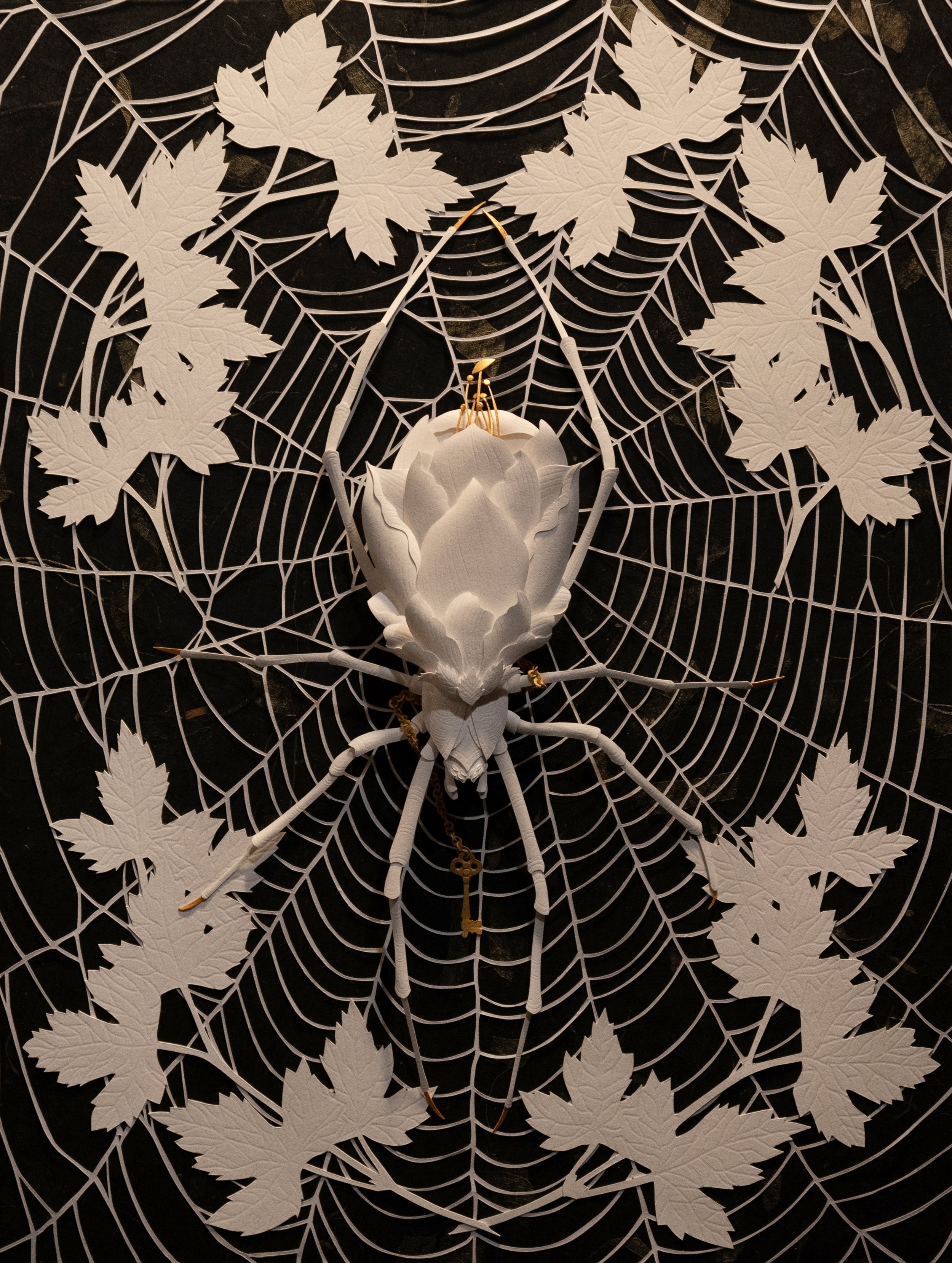  Arachne 