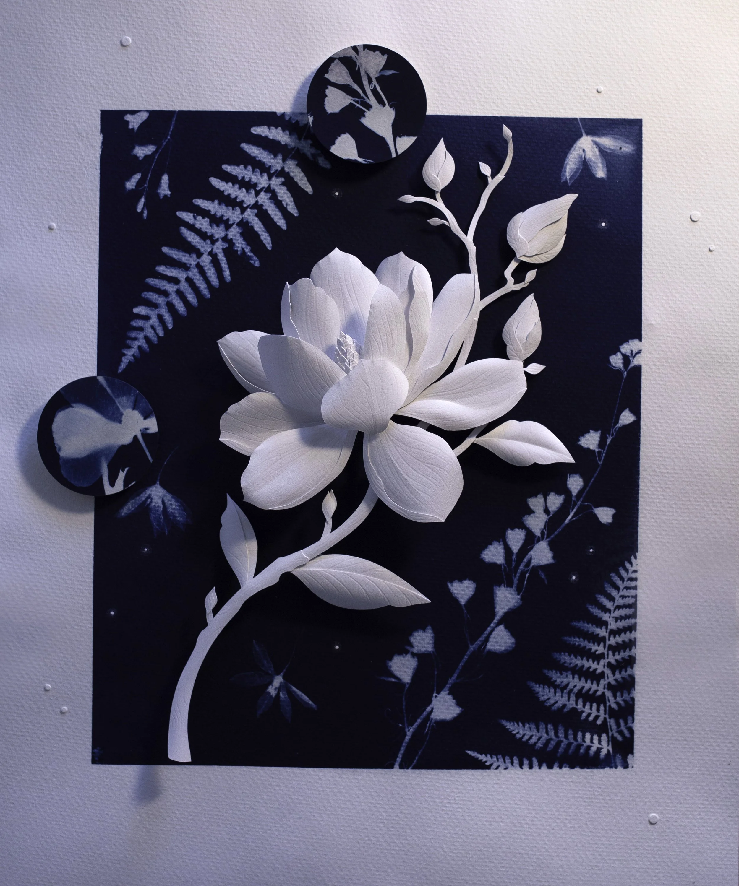 Magnolia.jpg