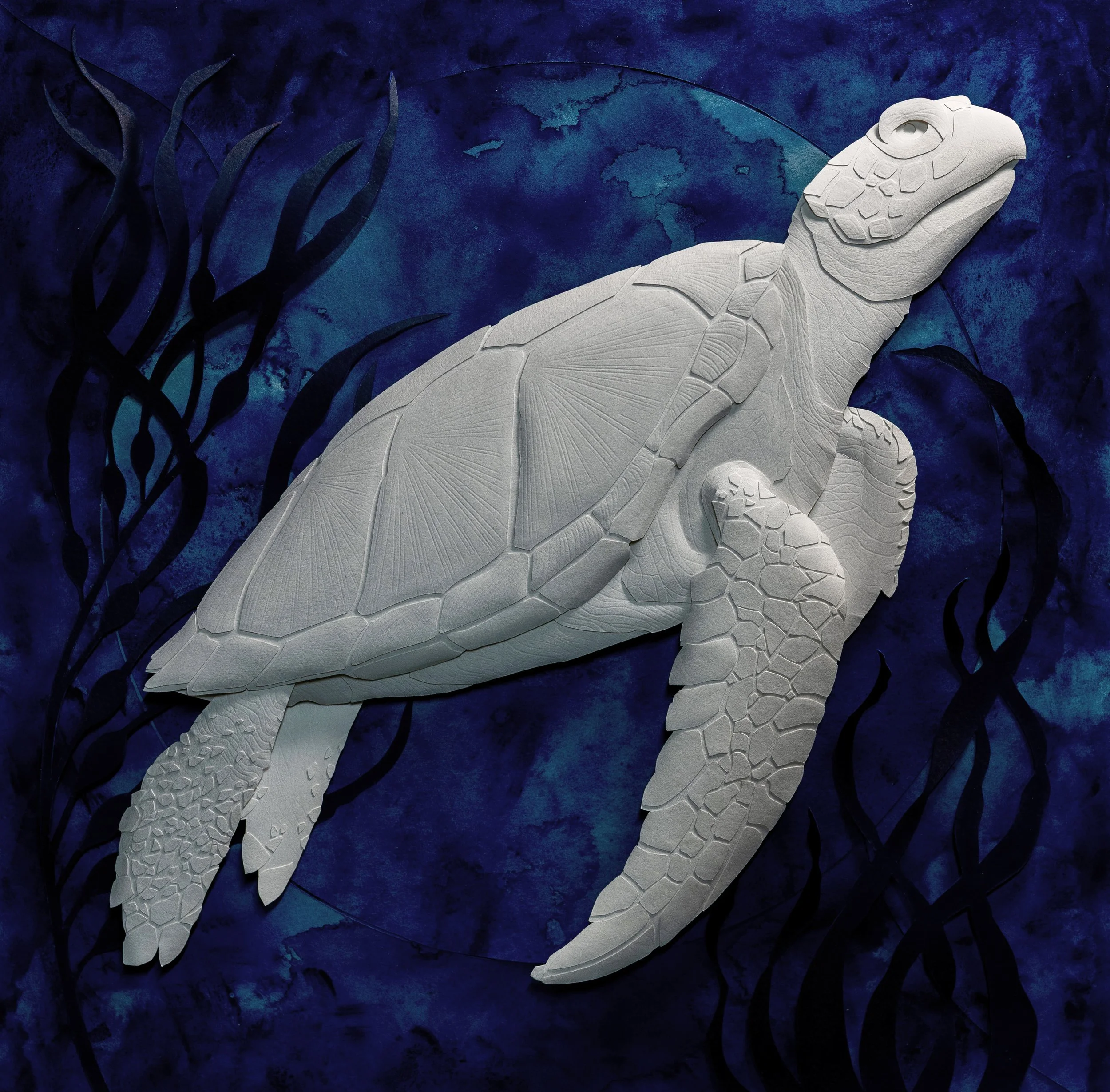 Honu.jpg