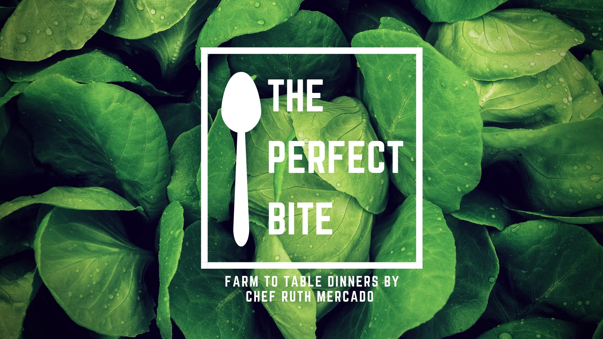 The Perfect Bite - Branding