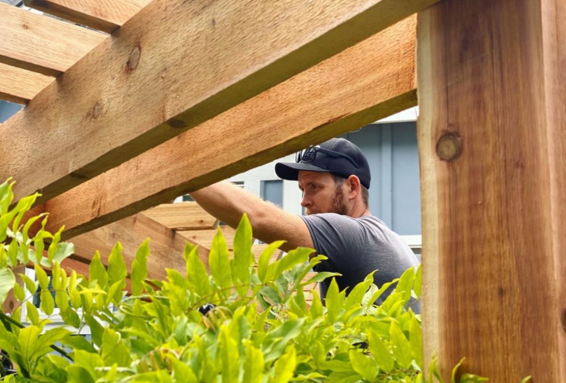 What to Know Before Planting Wisteria