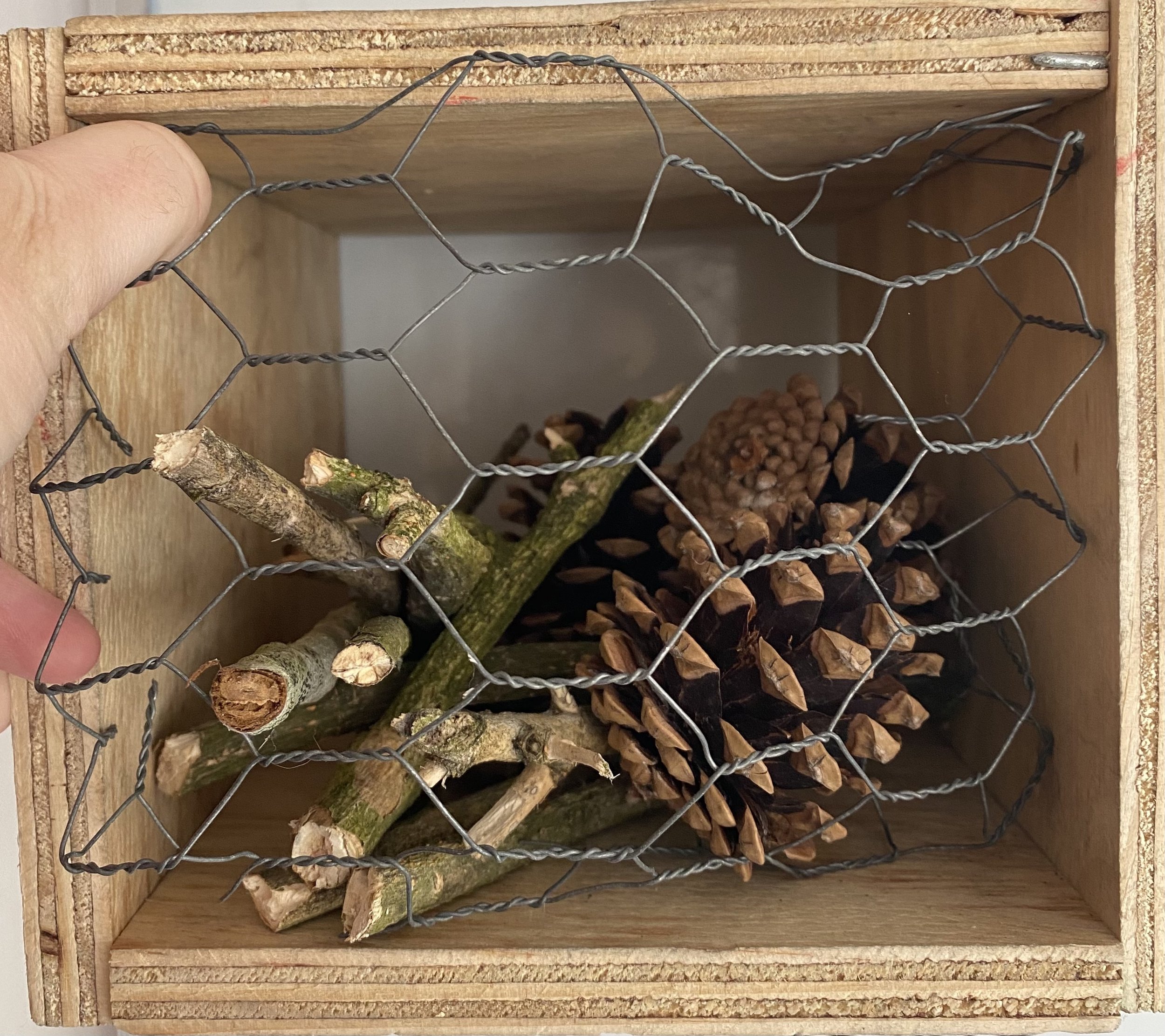 student made insect house.jpg