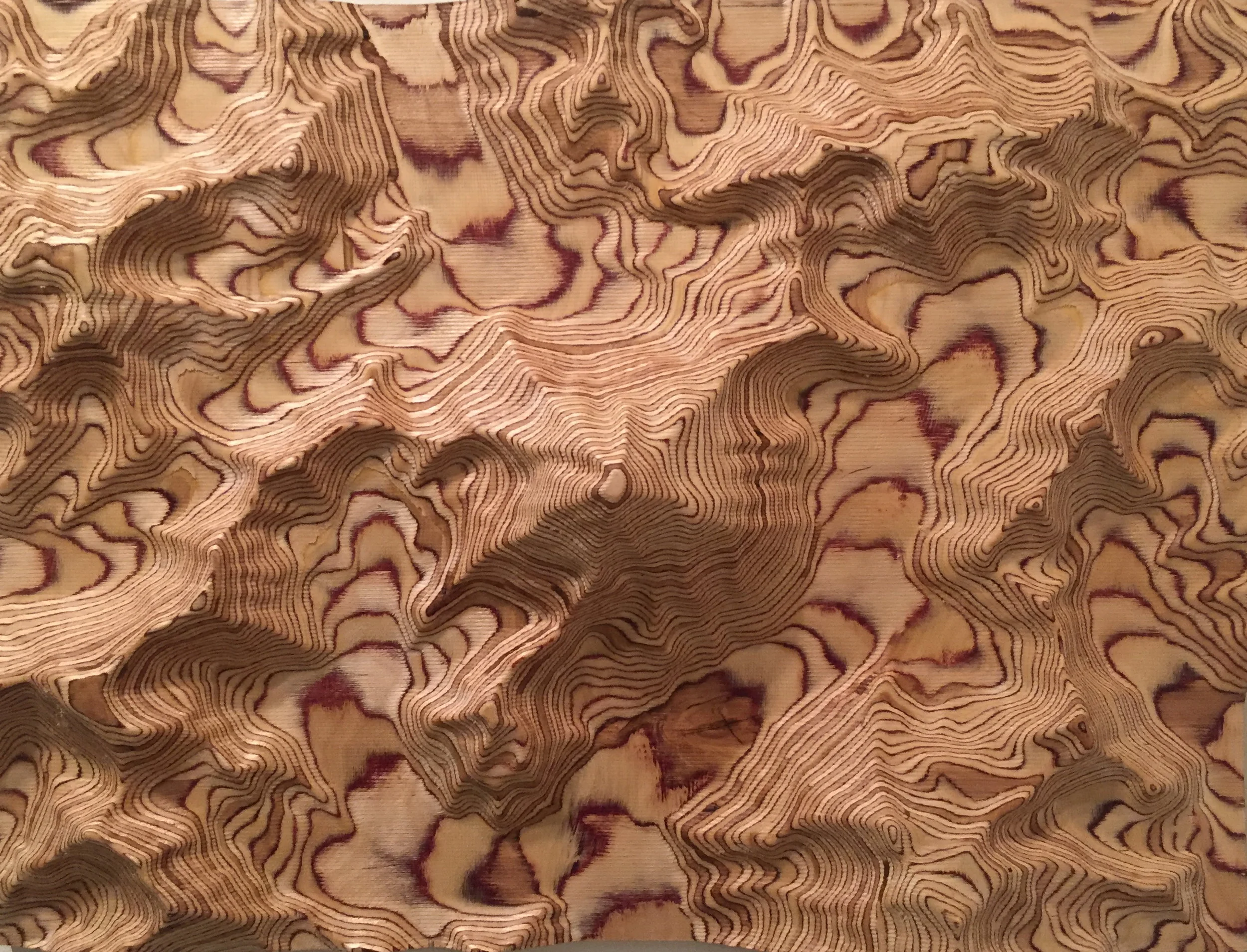 David Martin Wood Topography